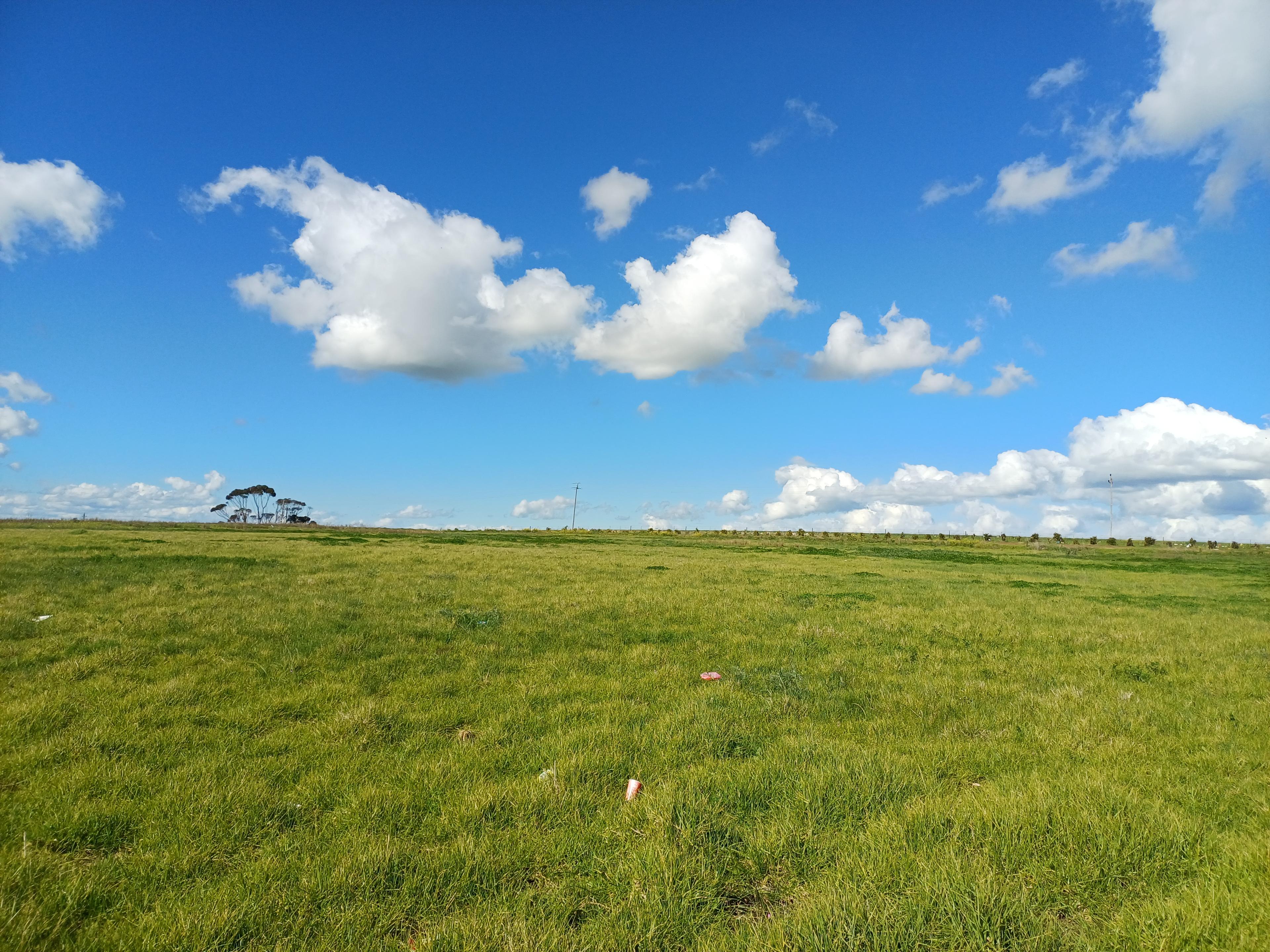 Image 13