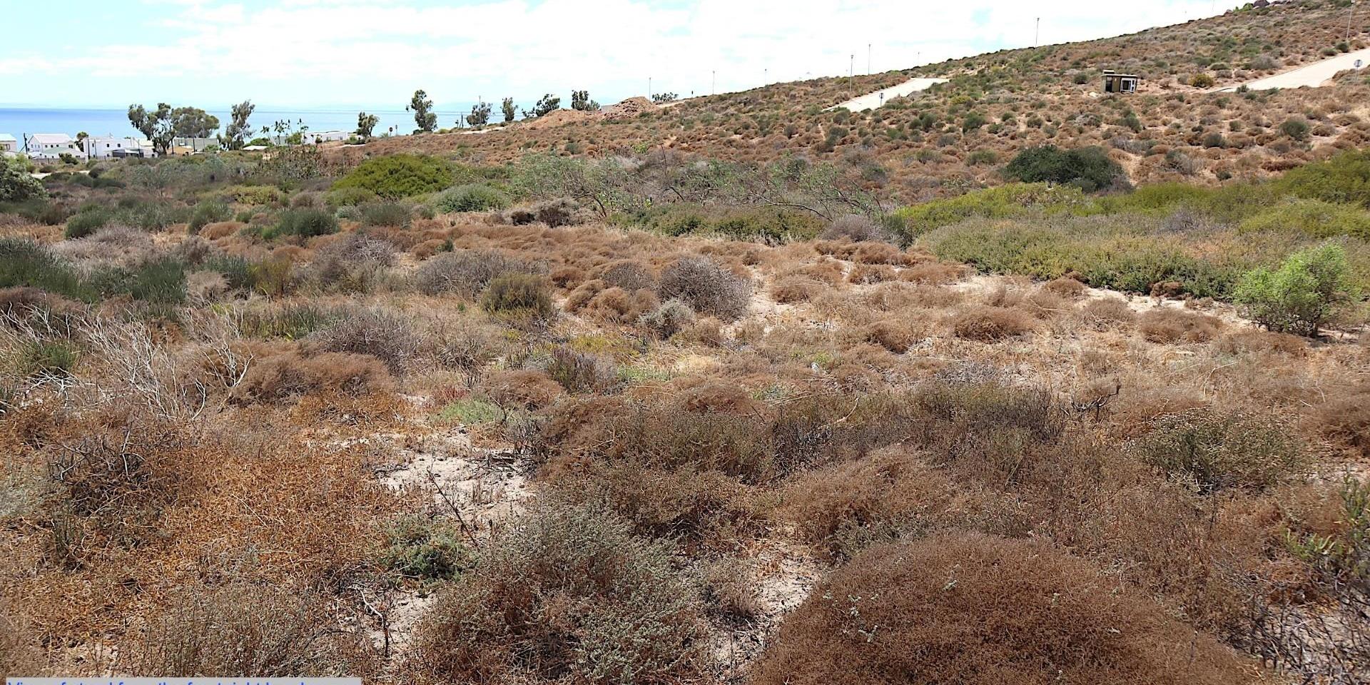 Image 4 of 6
