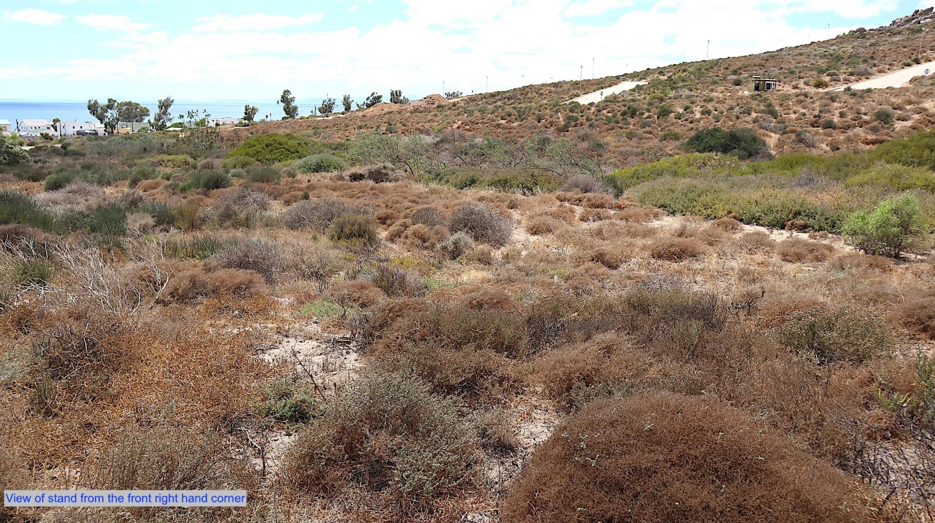 Image 4 of 6