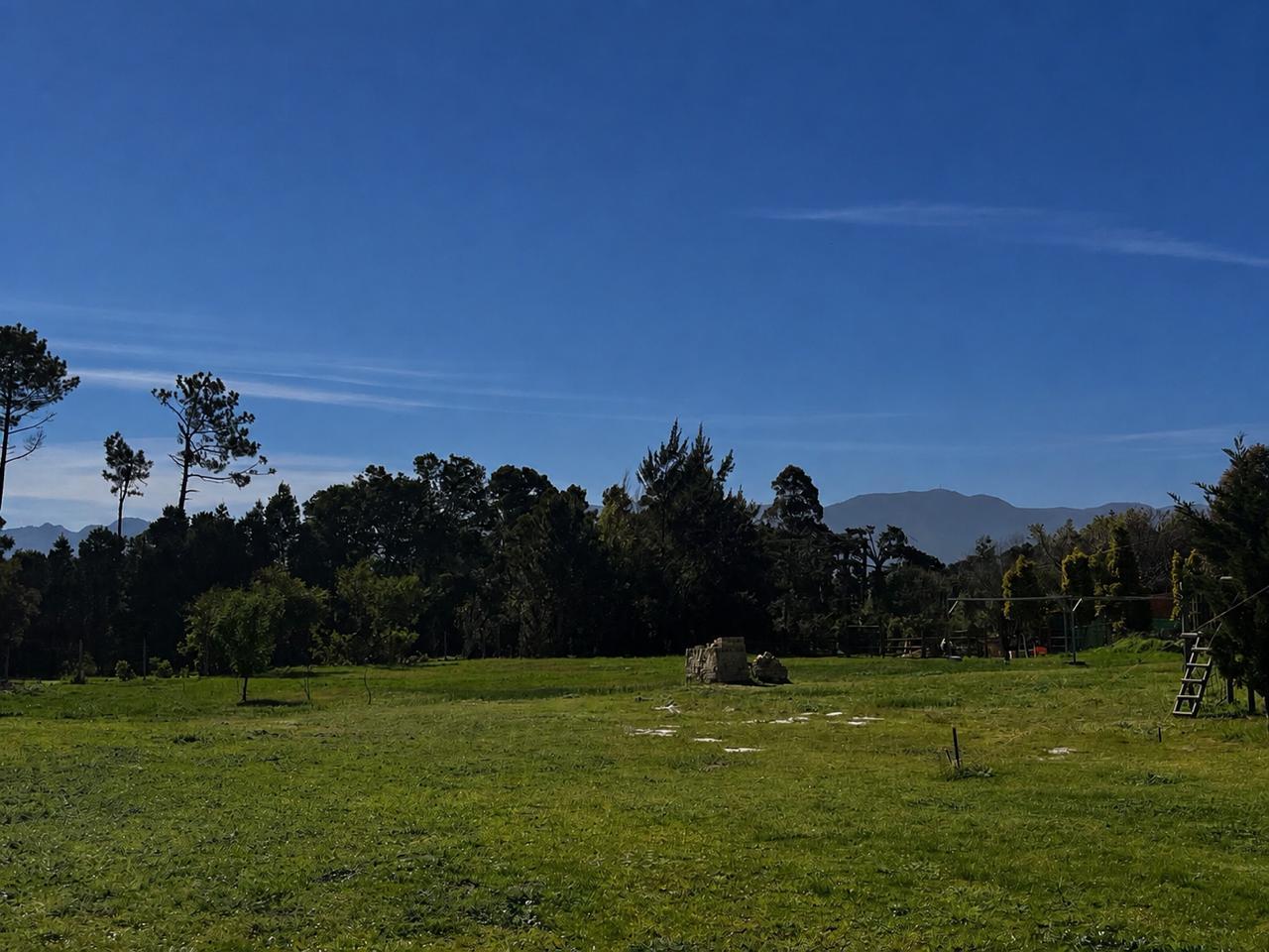 Image 5 of 6
