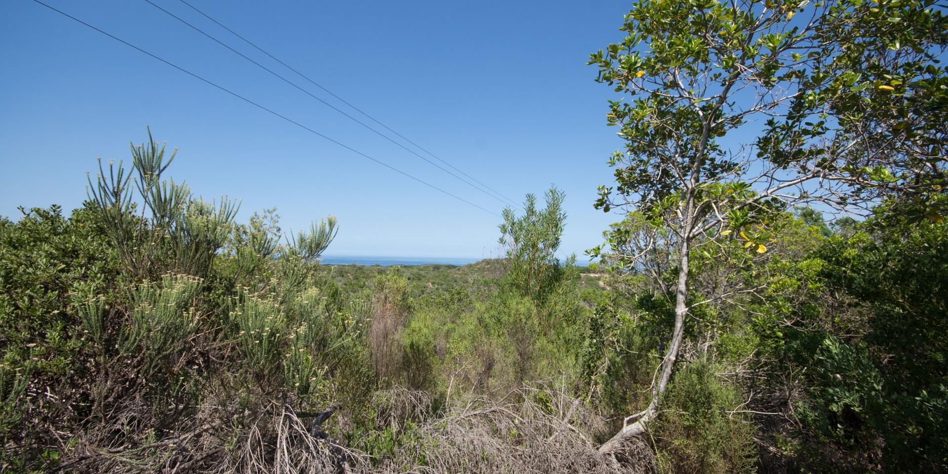 Image 4 of 6