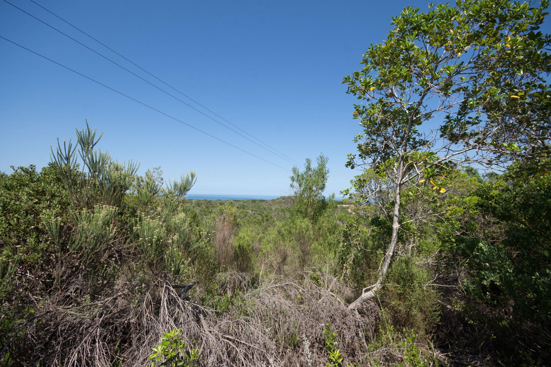 Image 4 of 6