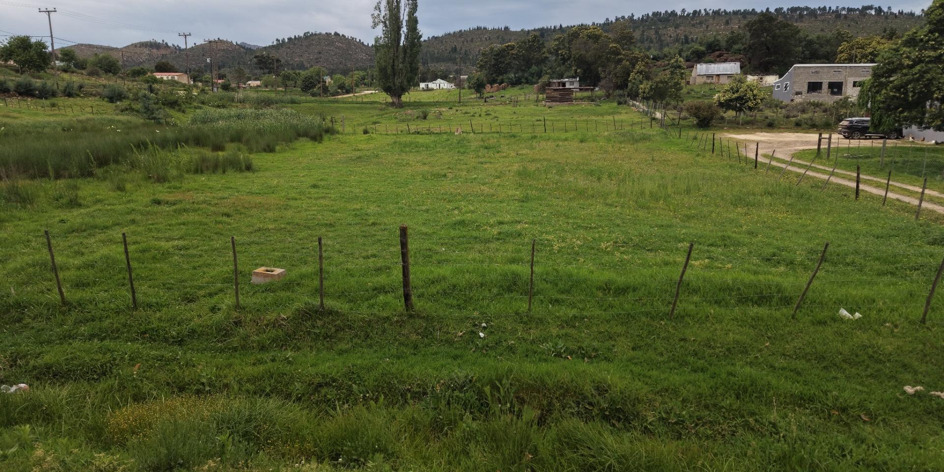 Image 4 of 6