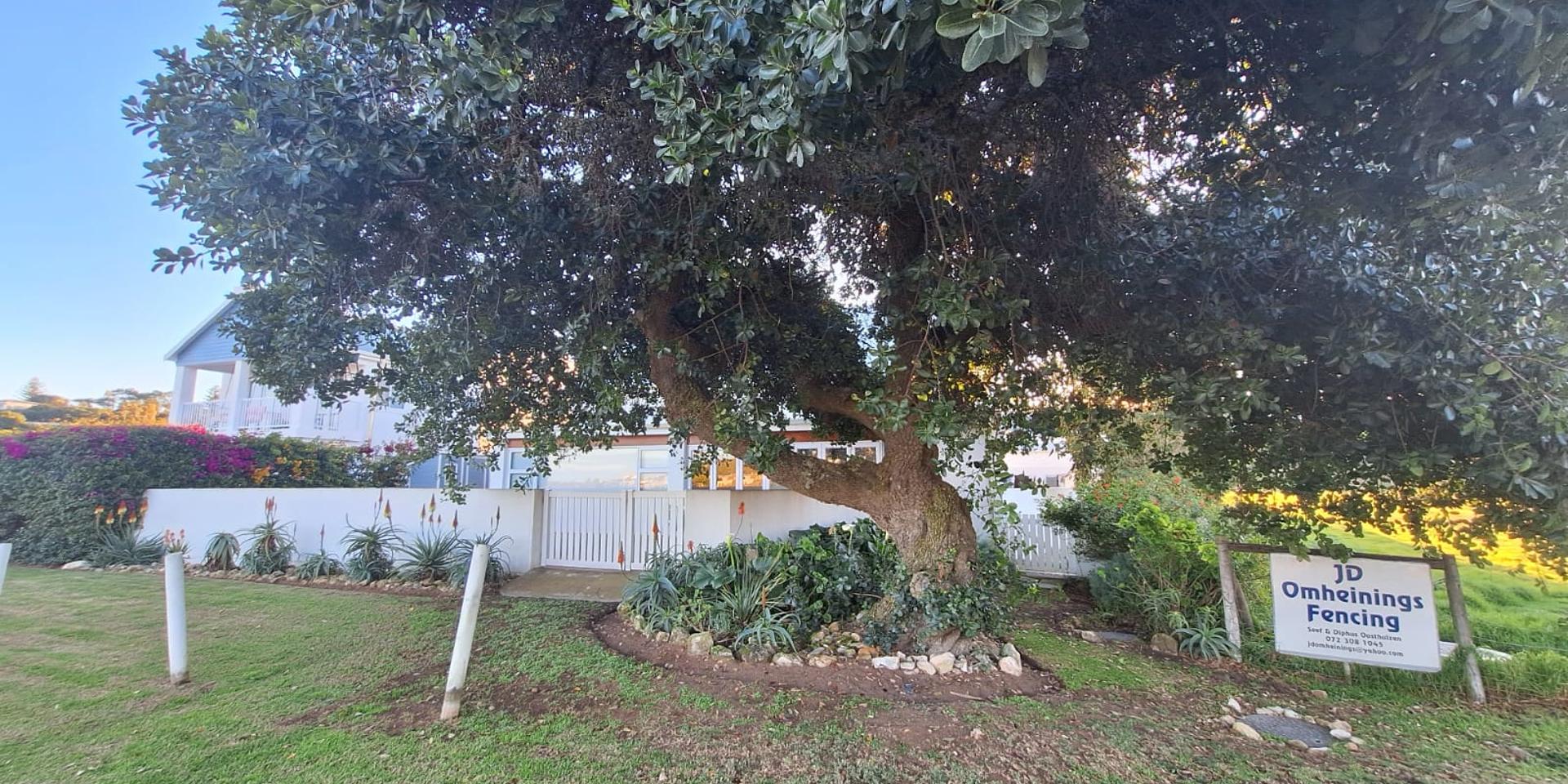 Image 4 of 6