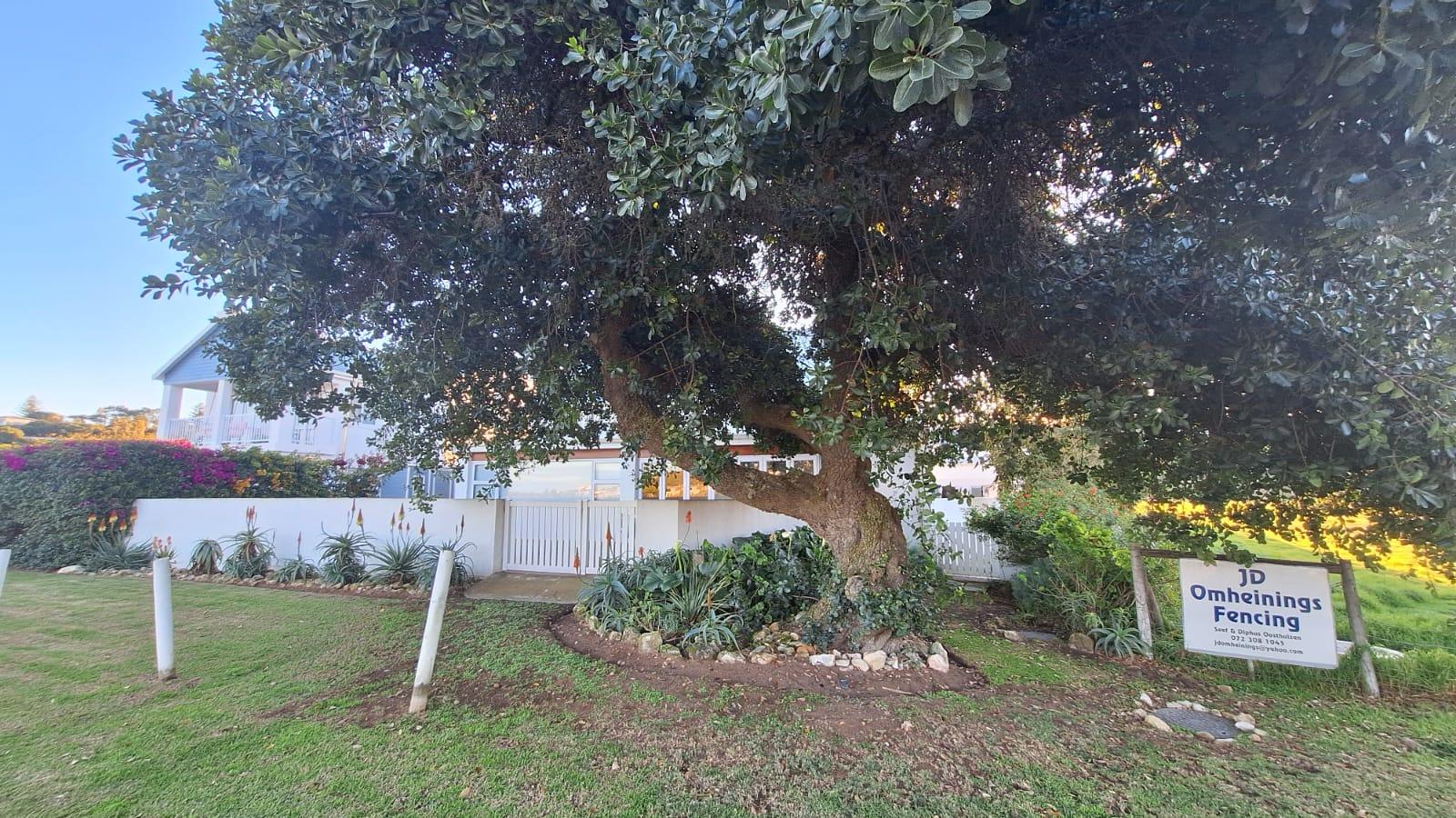 Image 4 of 6