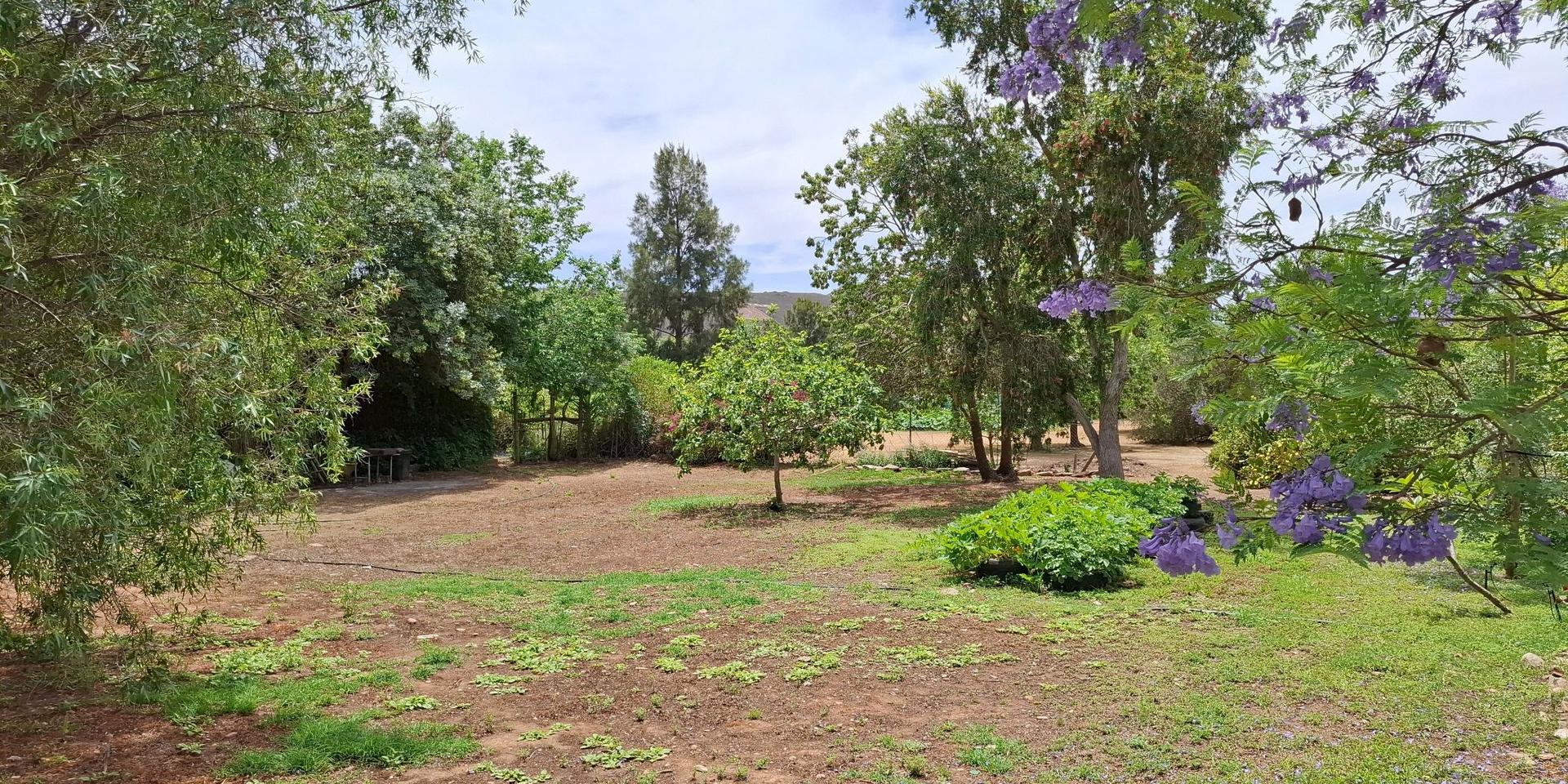 Image 5 of 6