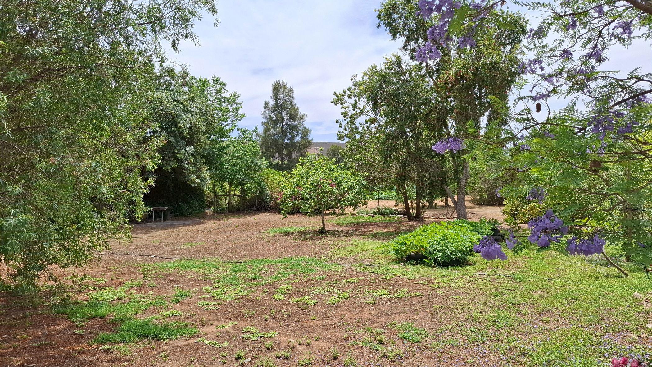 Image 5 of 6