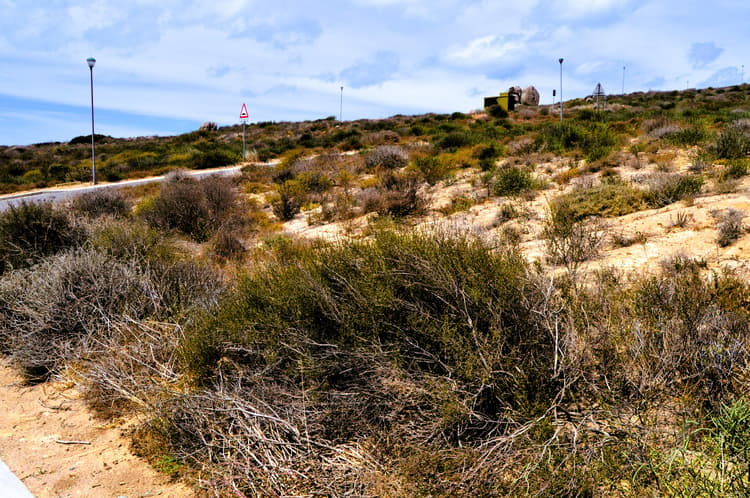 Main property image