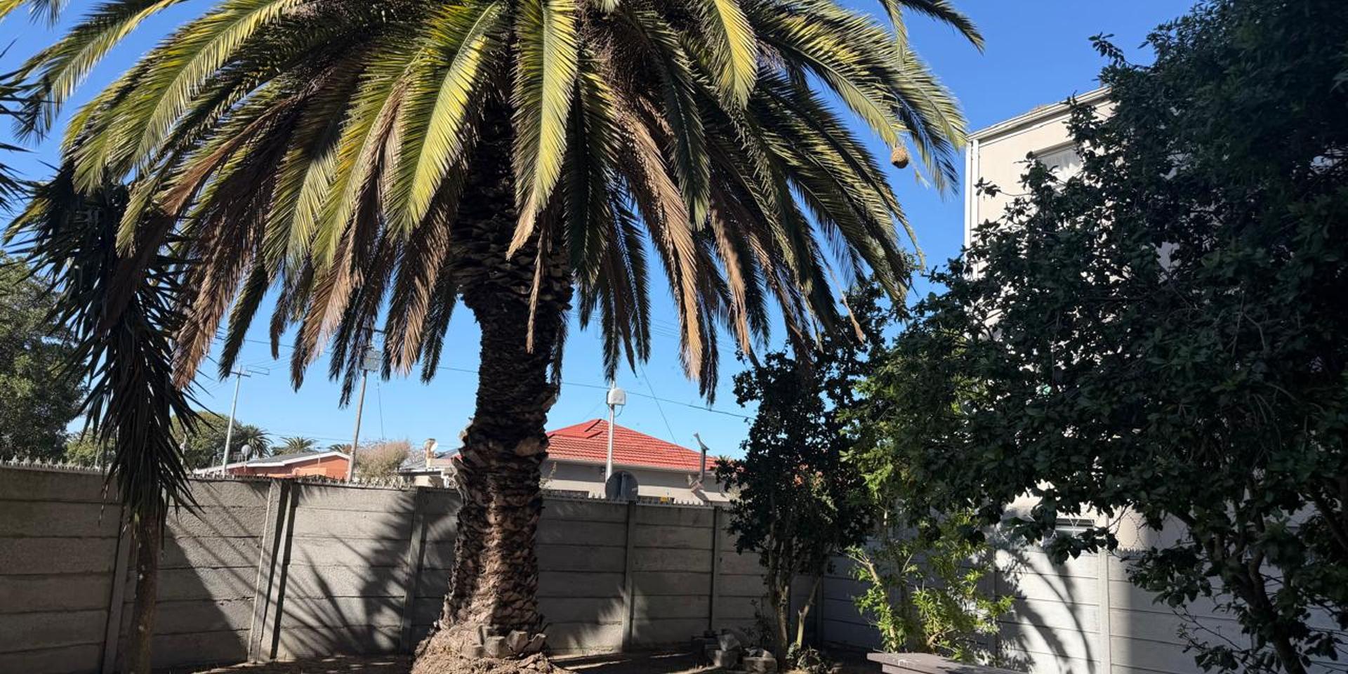 Image 5 of 6