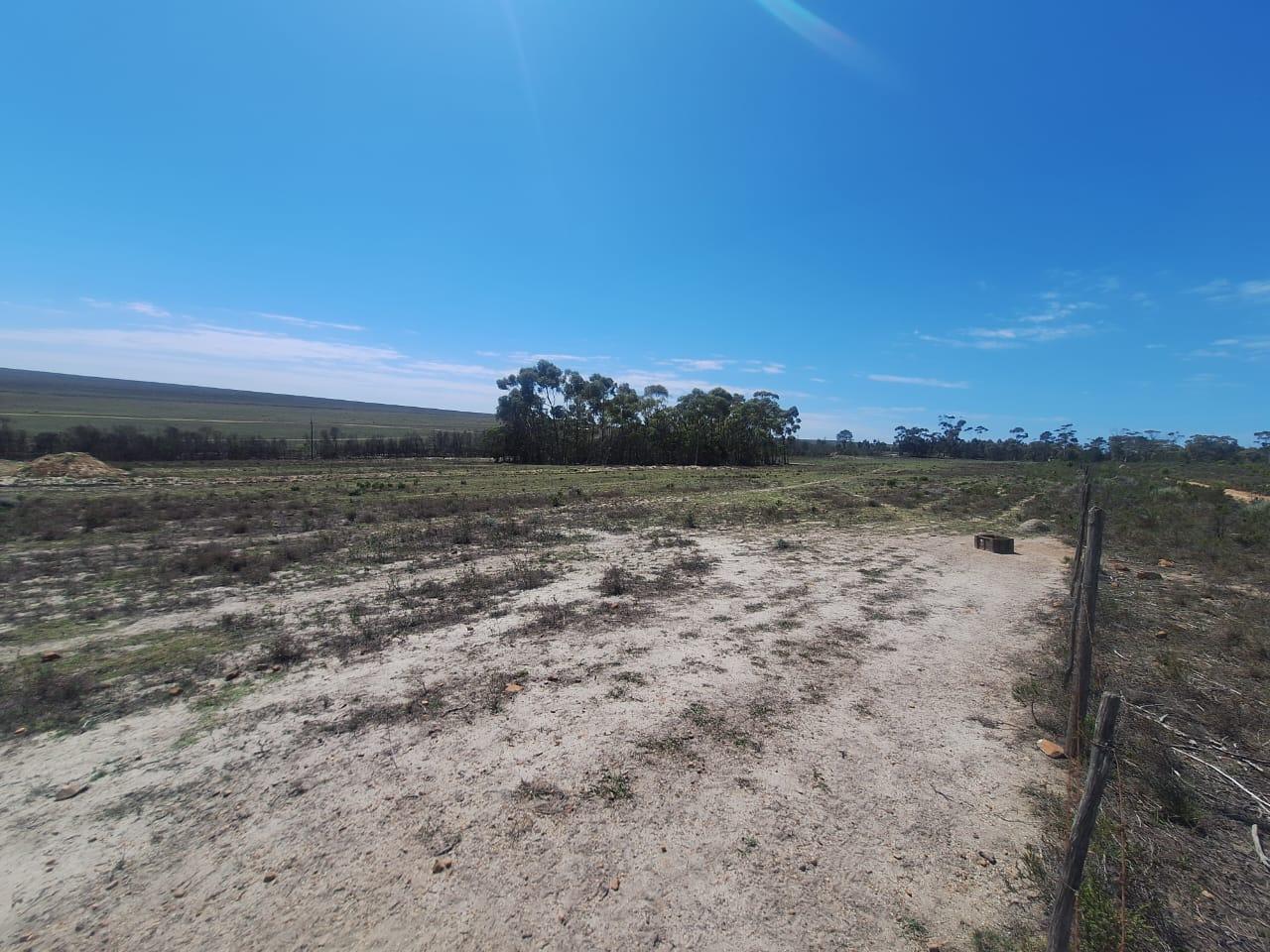 Image 3 of 6