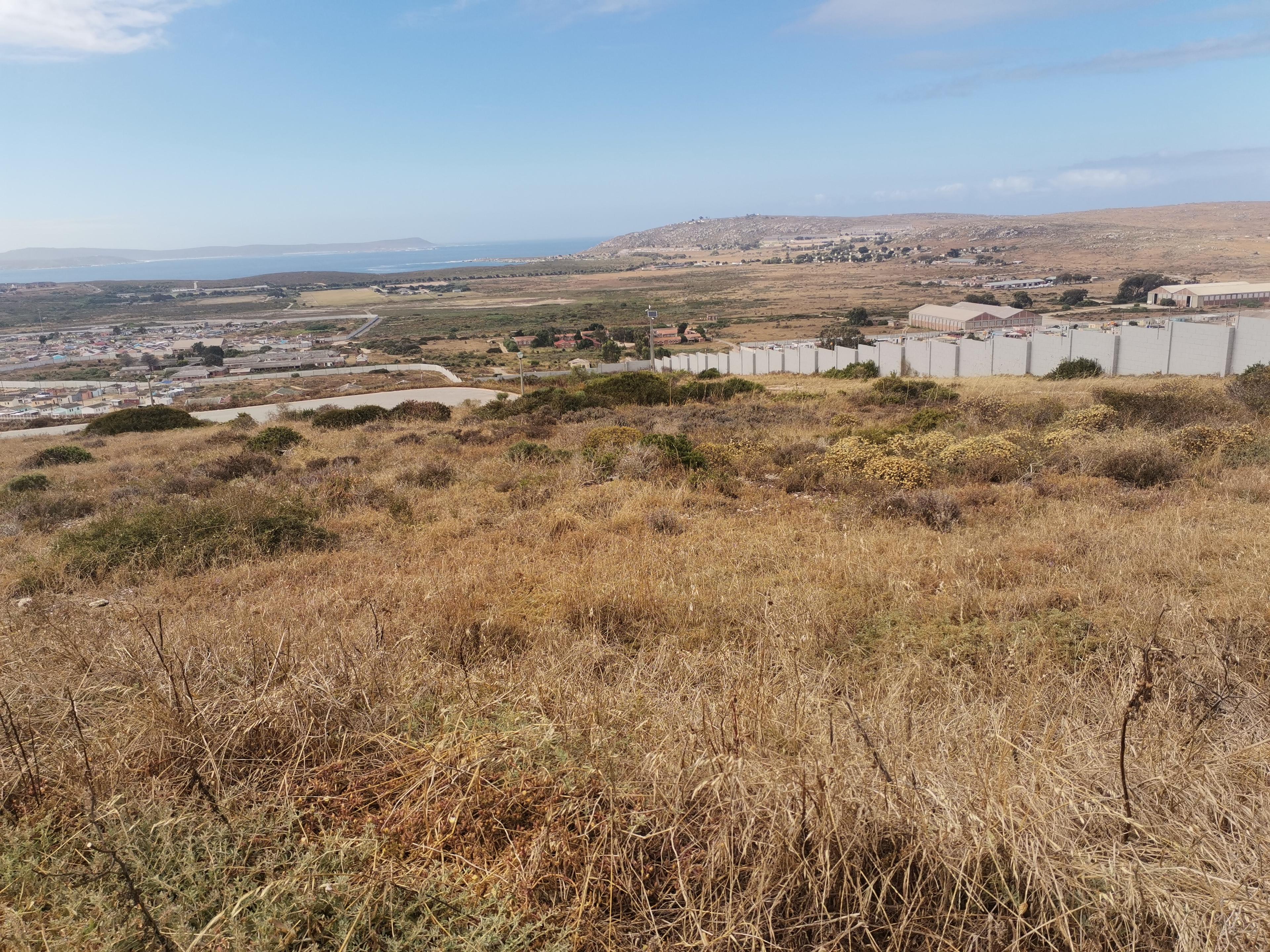 Image 4 of 6