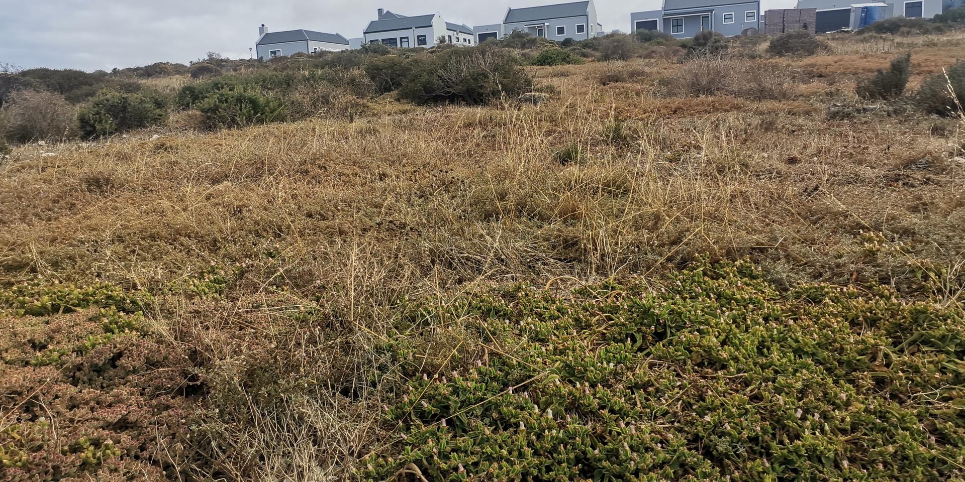Image 2 of 6
