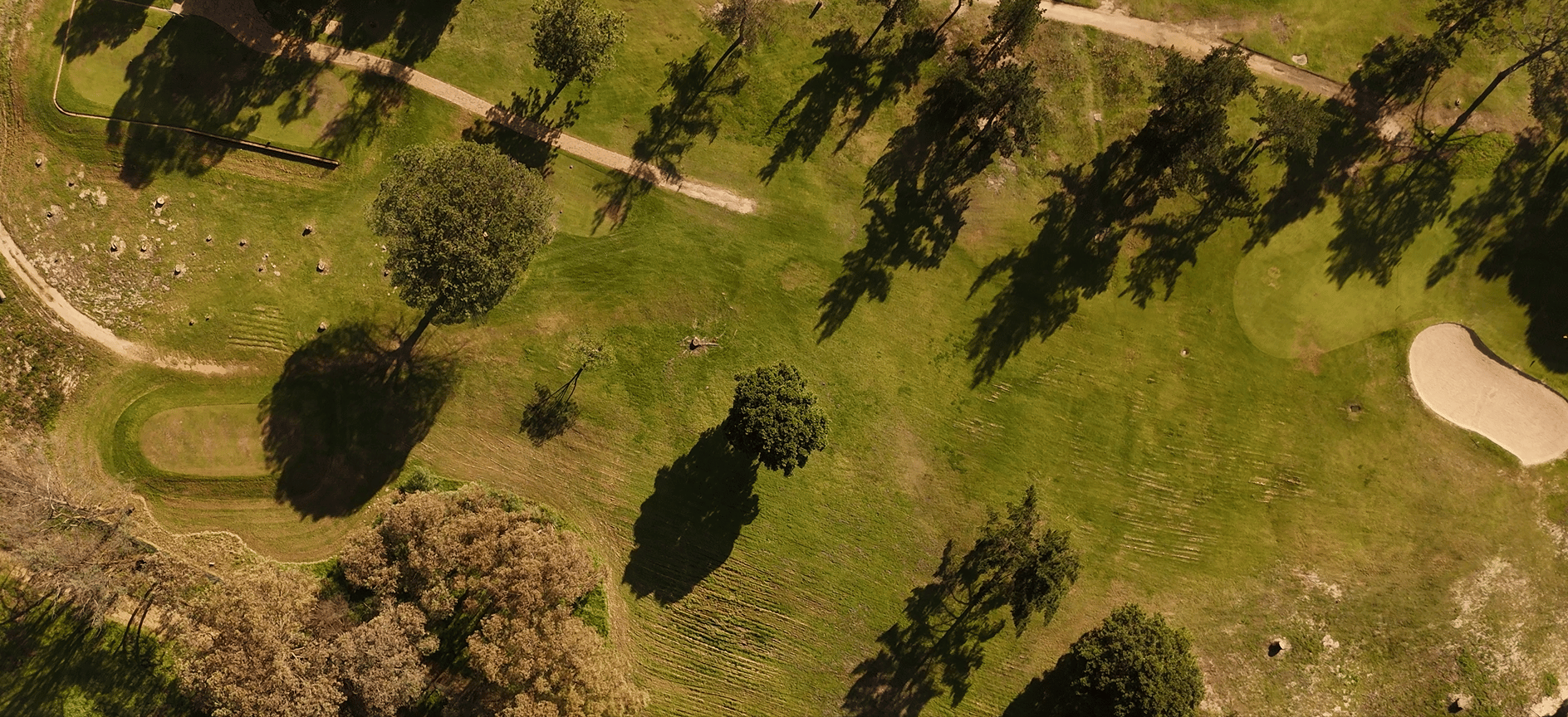 Image 3 of 6
