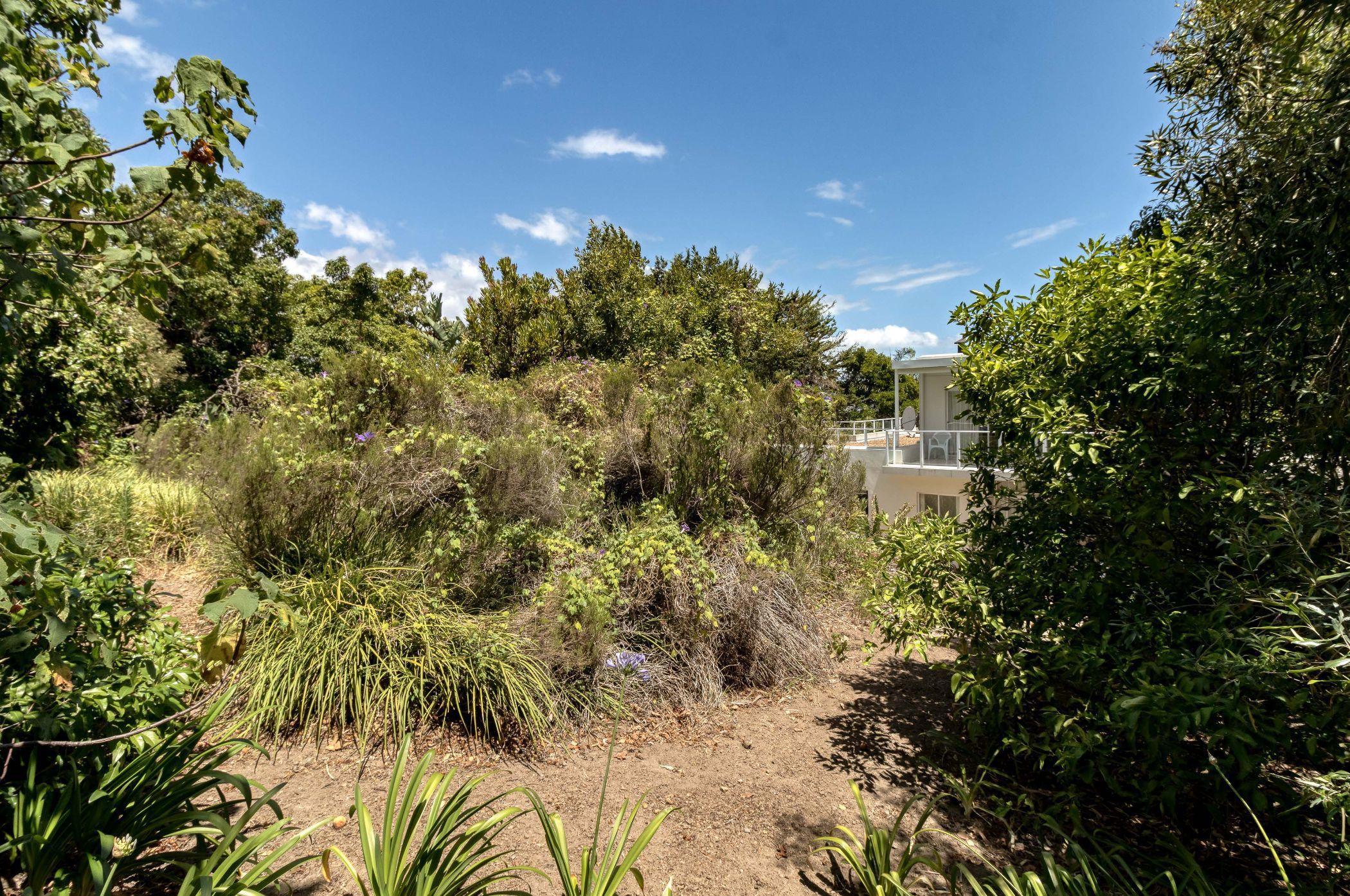 Image 49