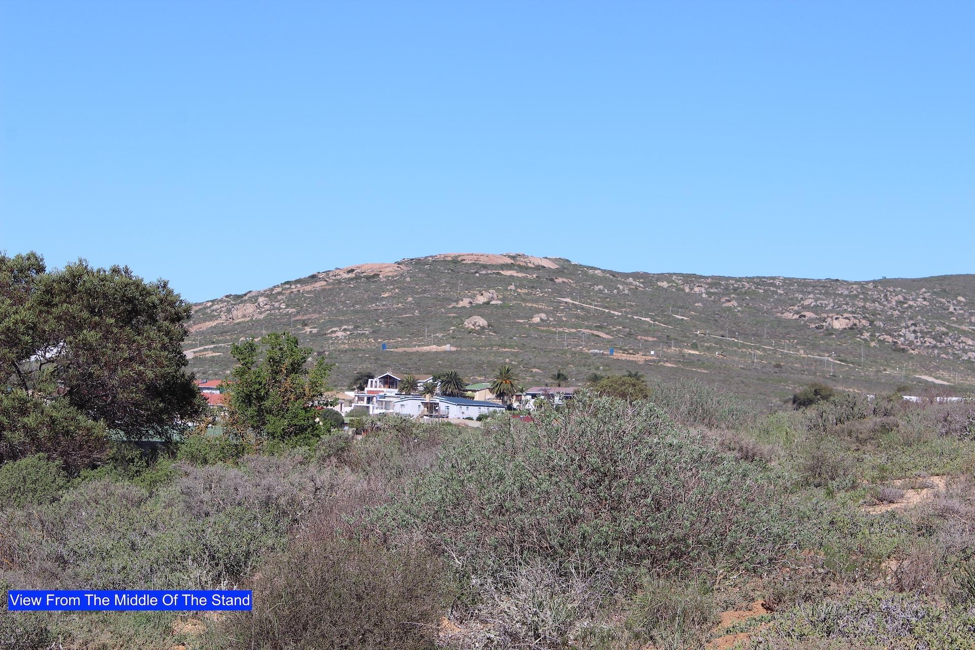 Image 12