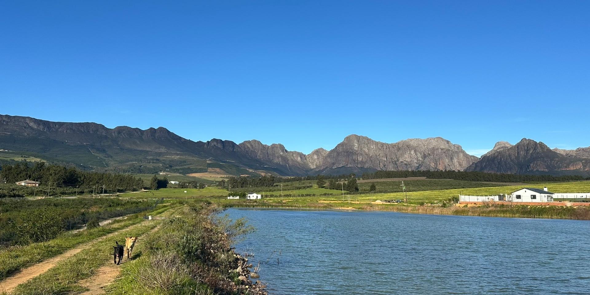 Image 4 of 6