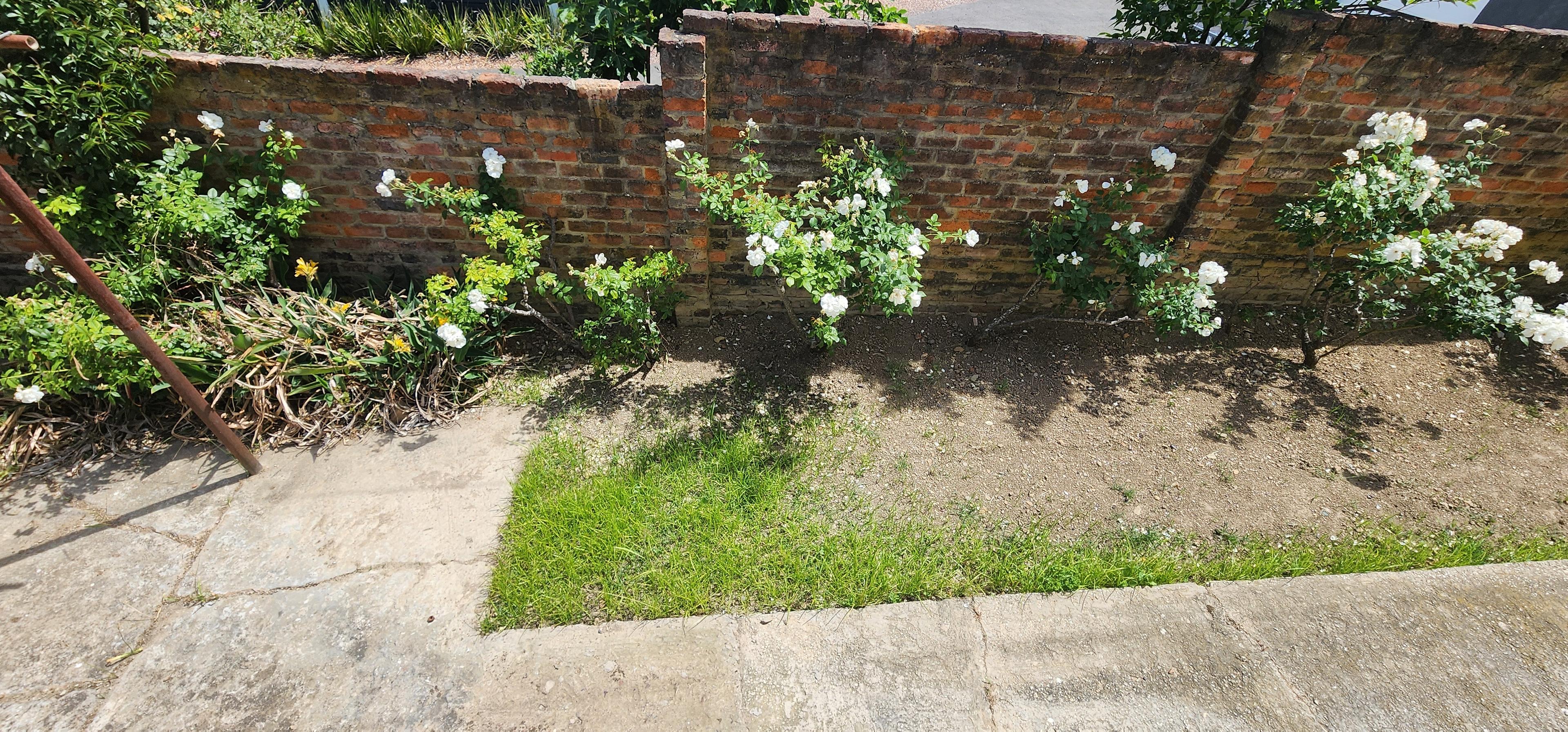 Image 30