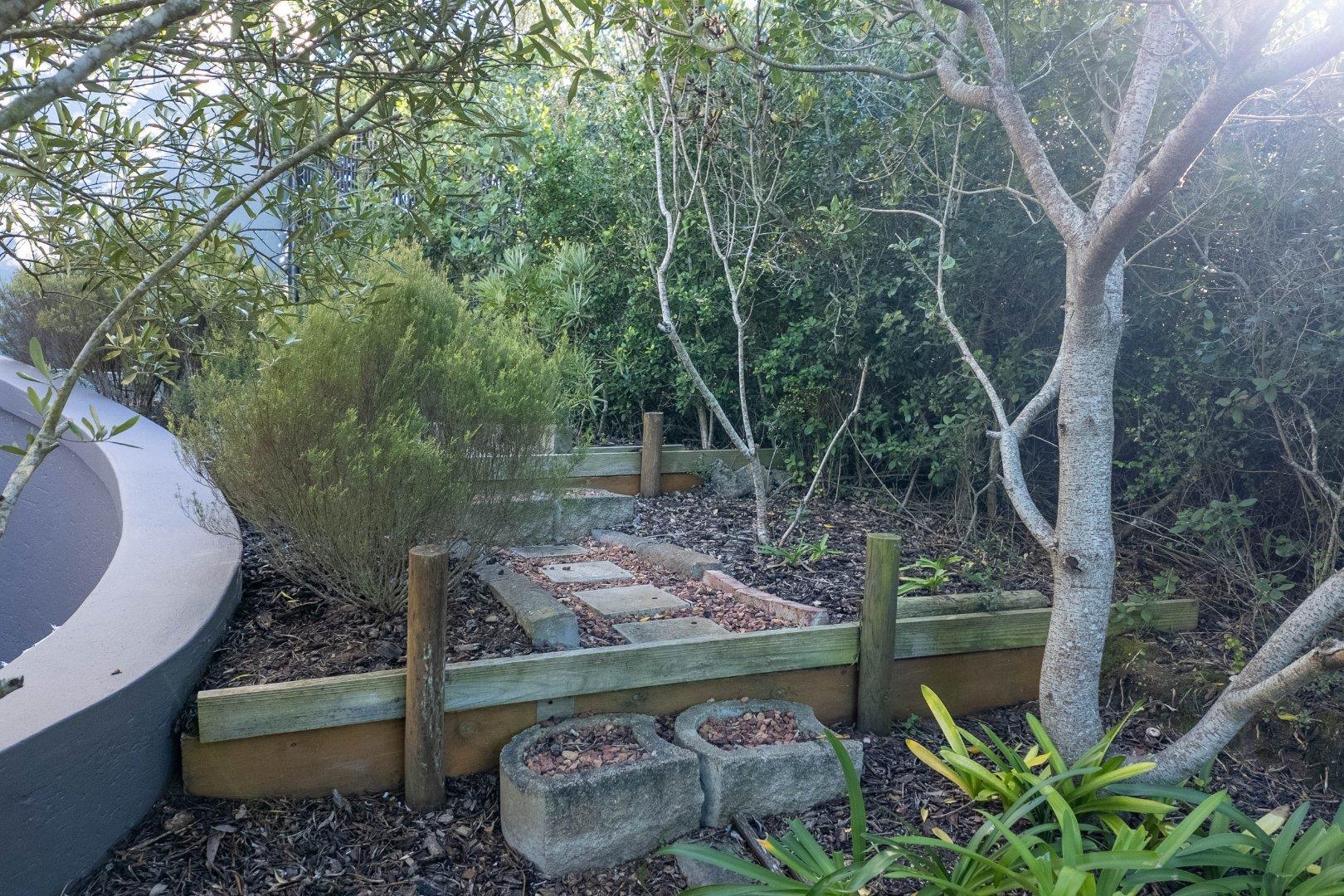 Image 41