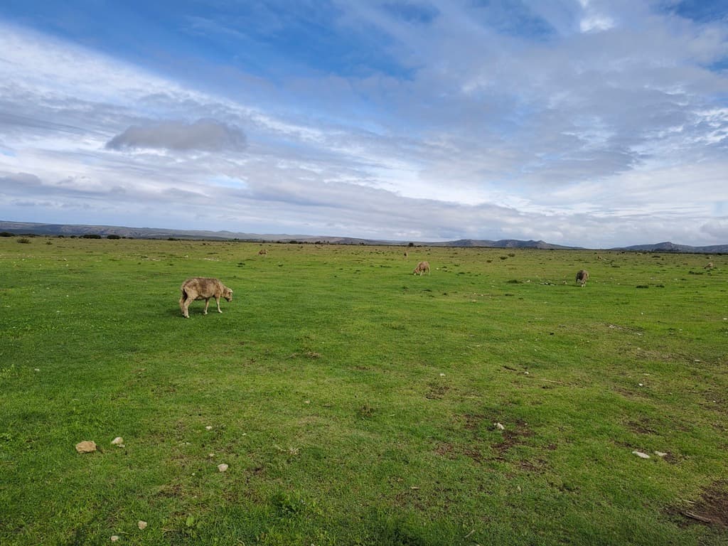 Image 4 of 6