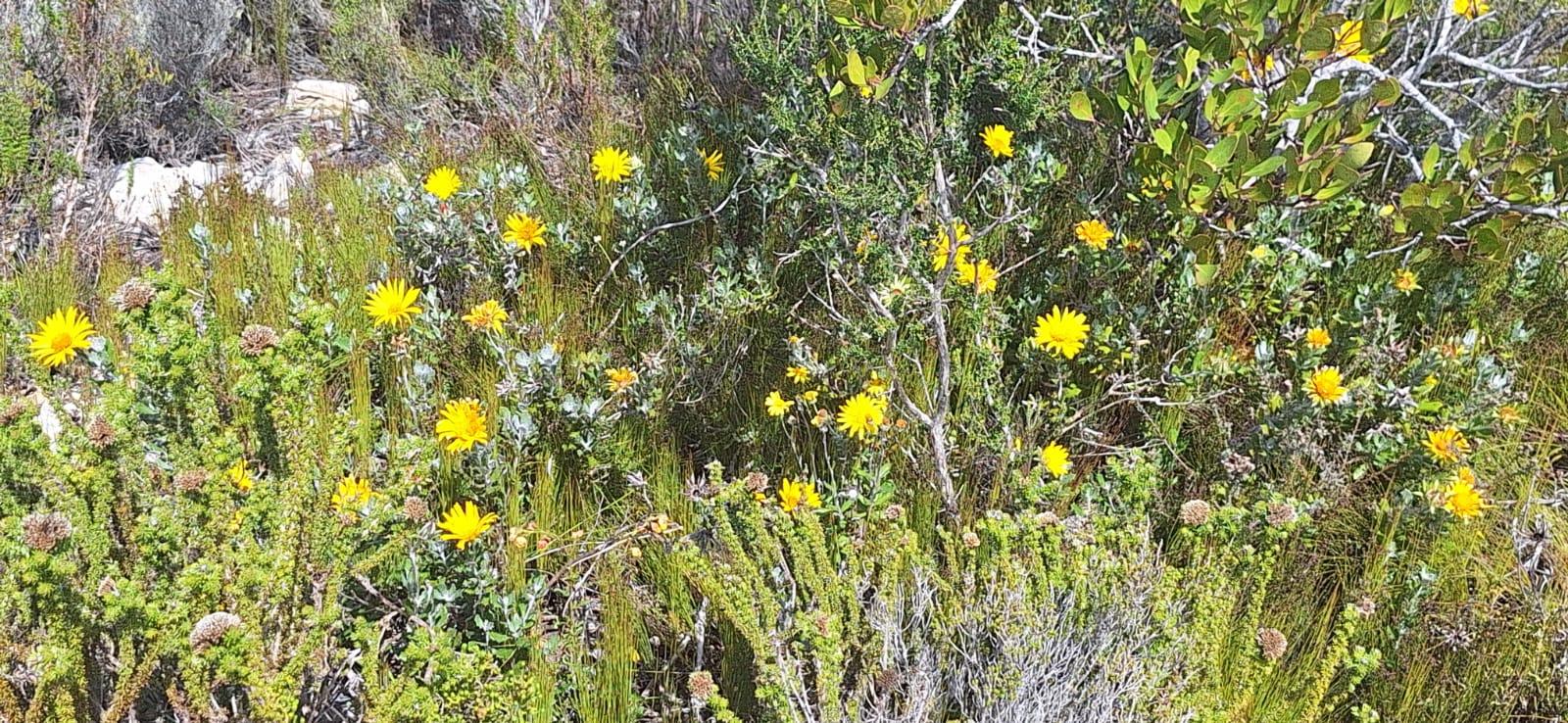Image 14