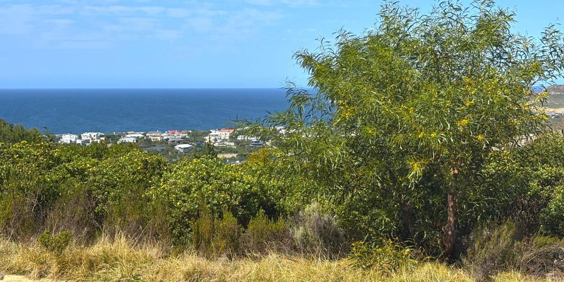 Image 3 of 6