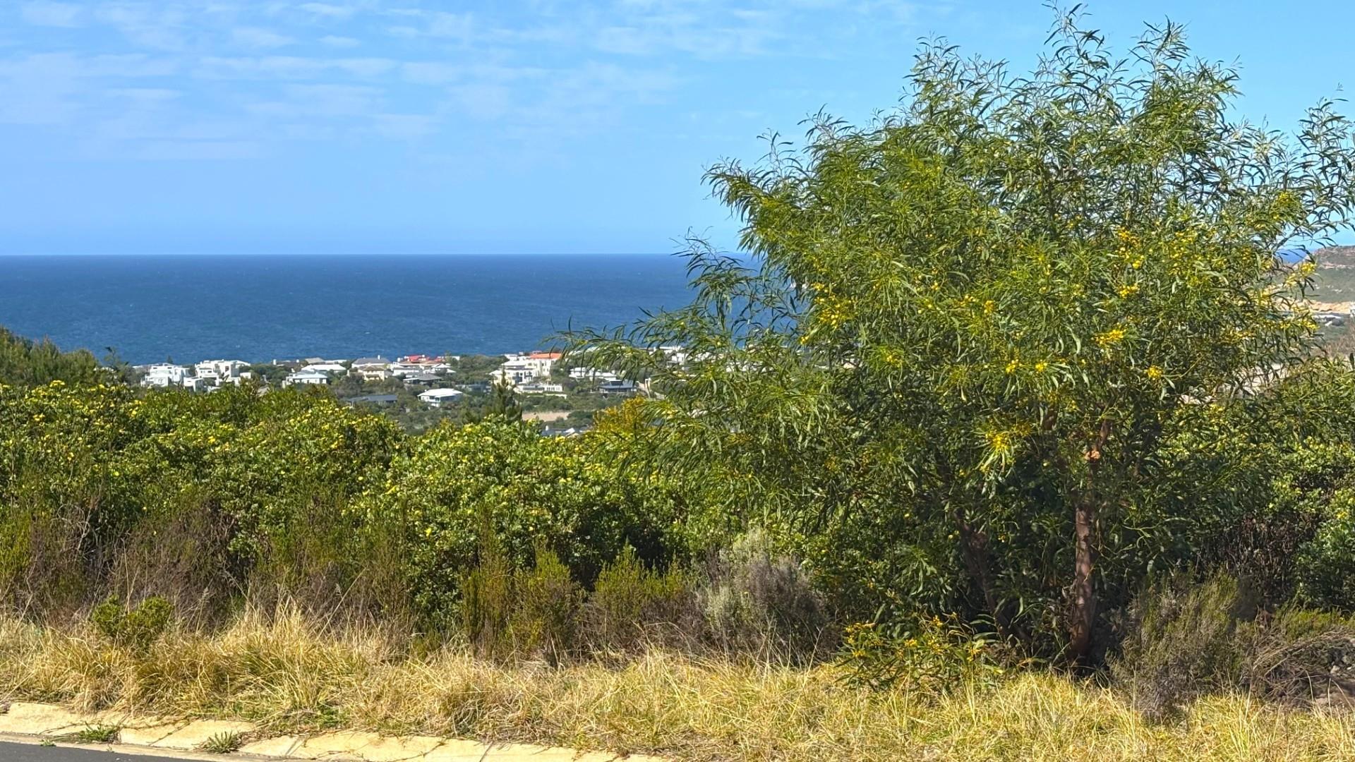 Image 3 of 6