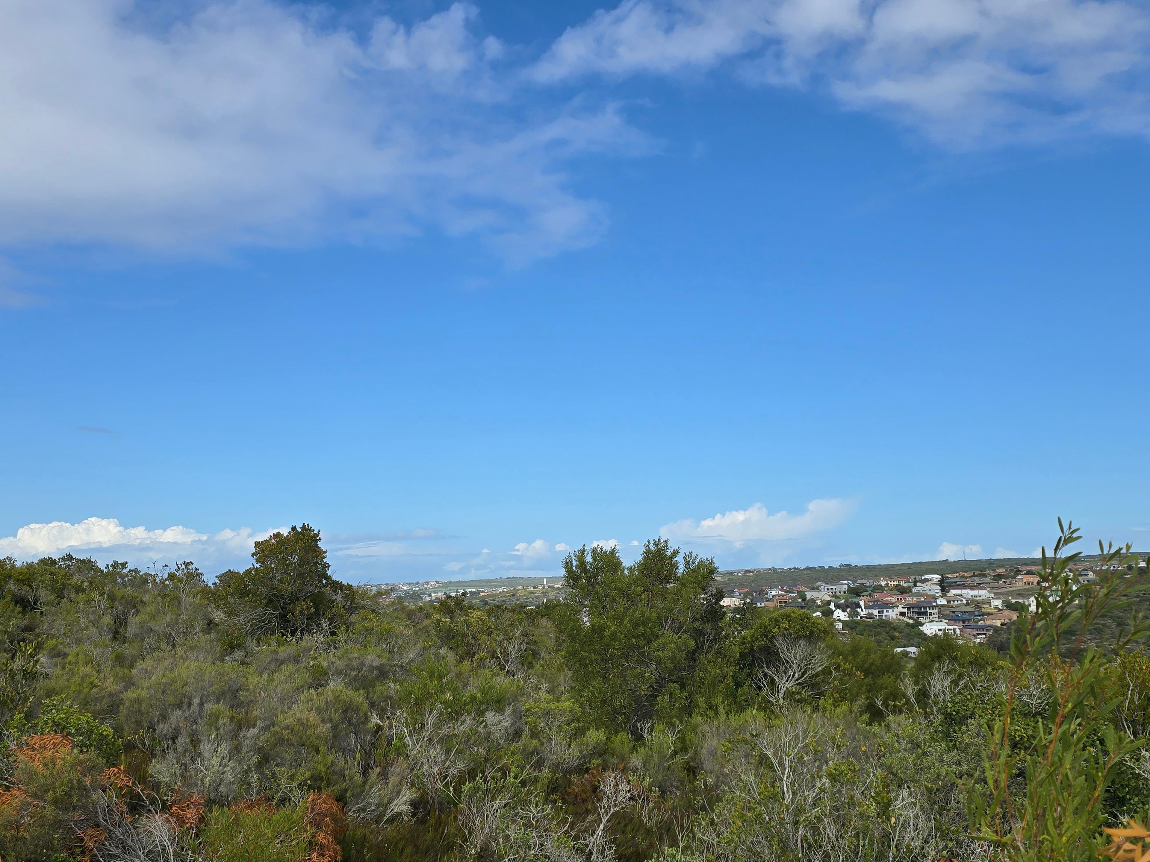 Image 2 of 6
