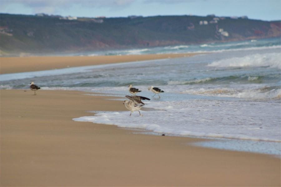 Image 2 of 6