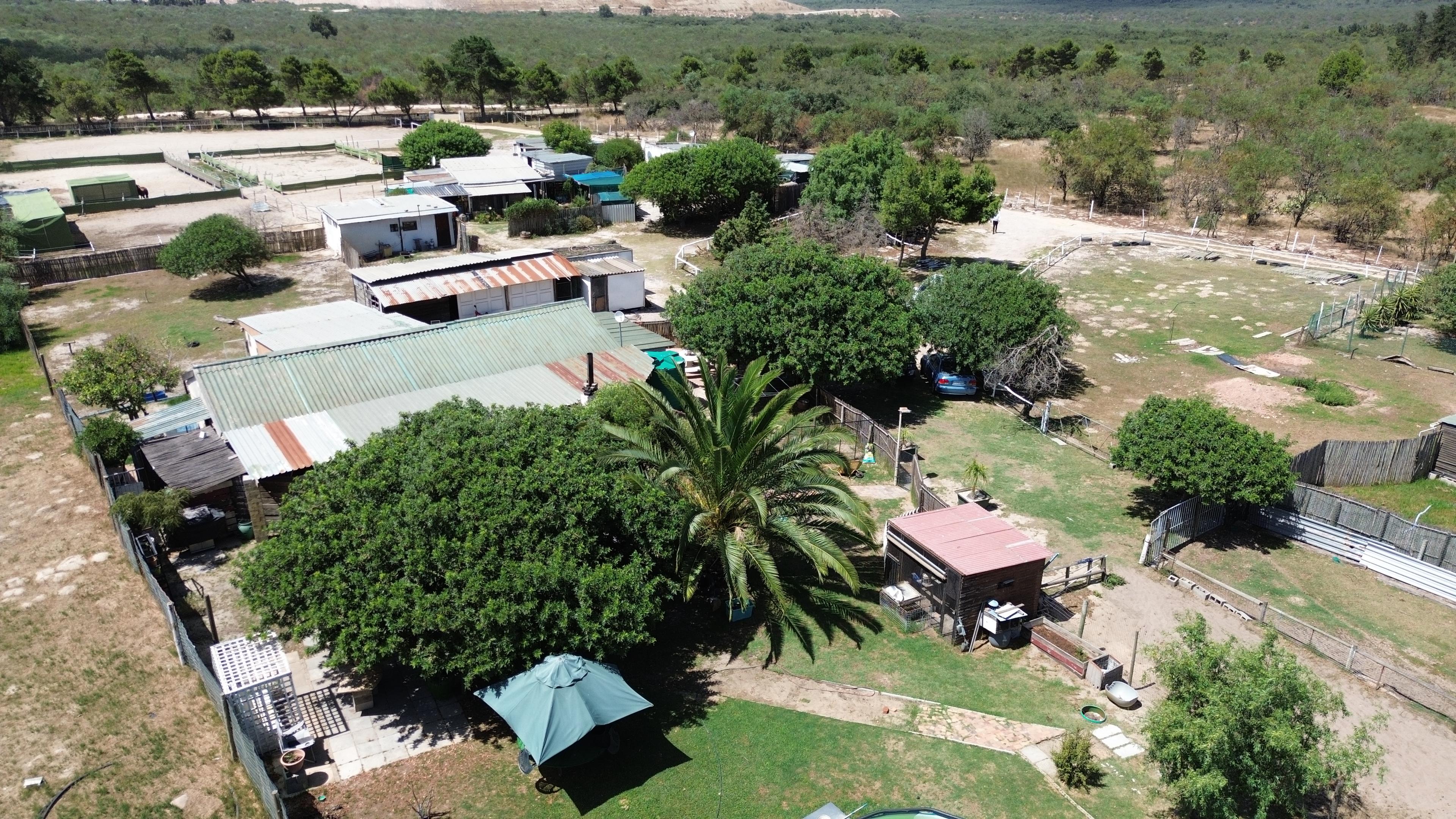 Image 20