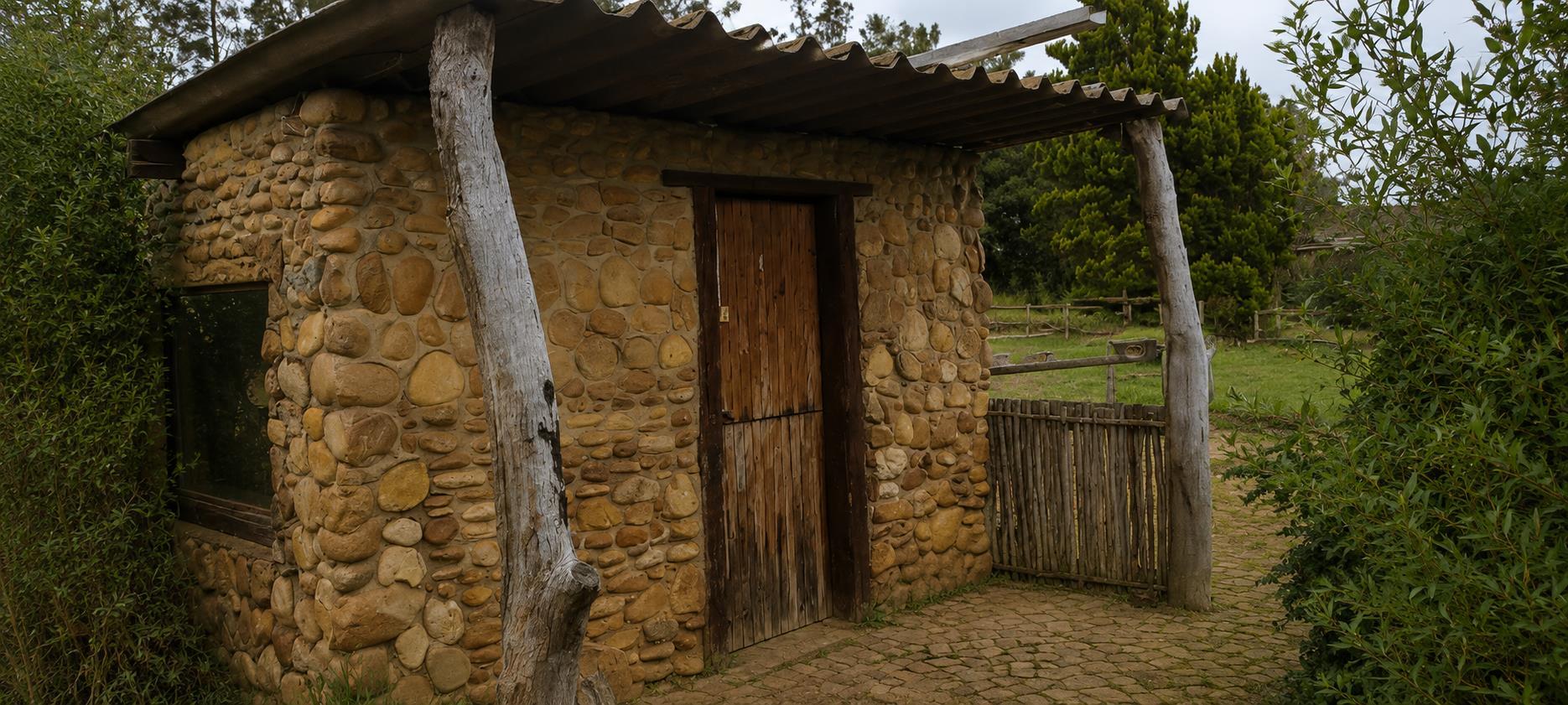 Image 46