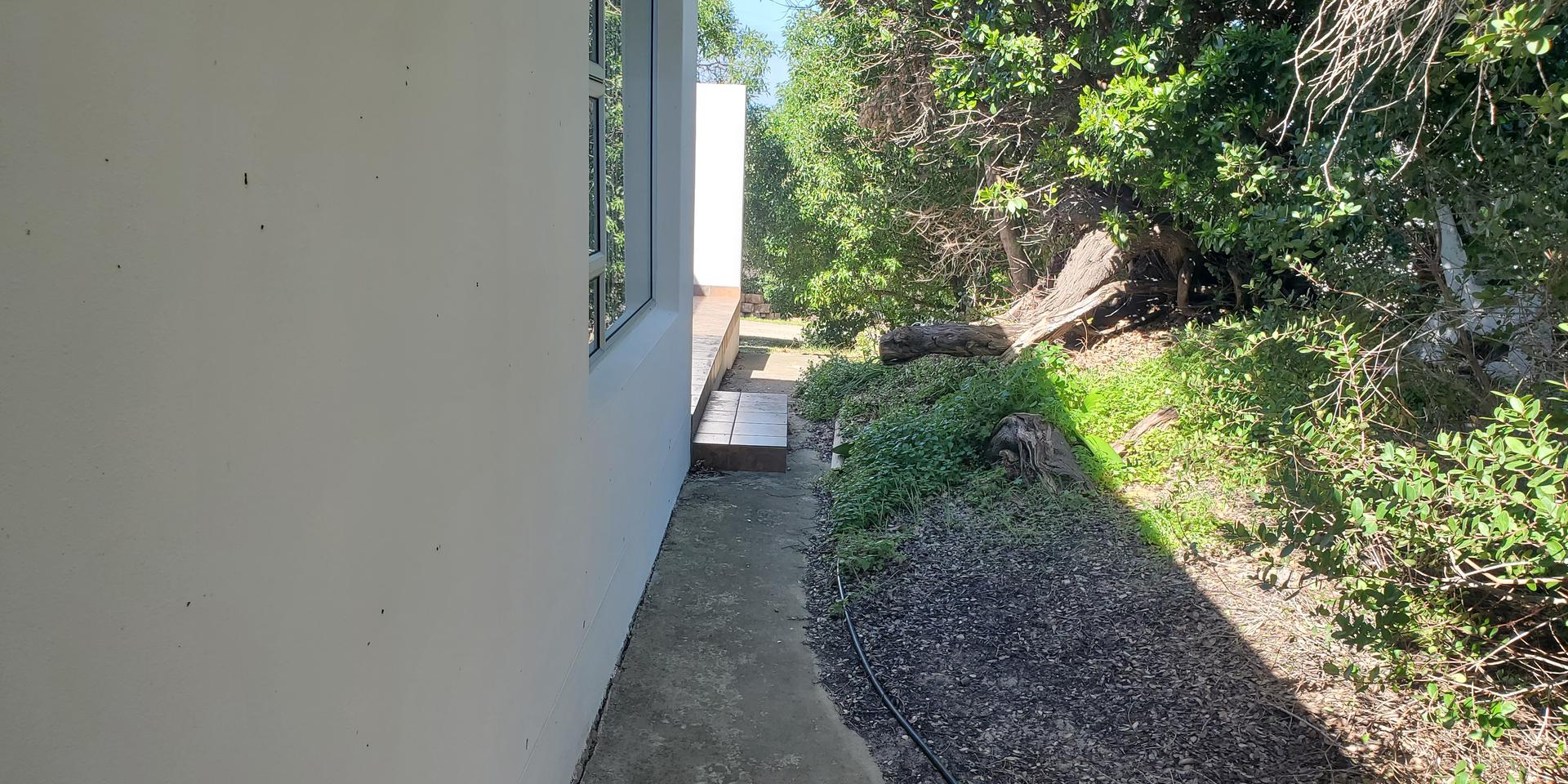 Image 5 of 6