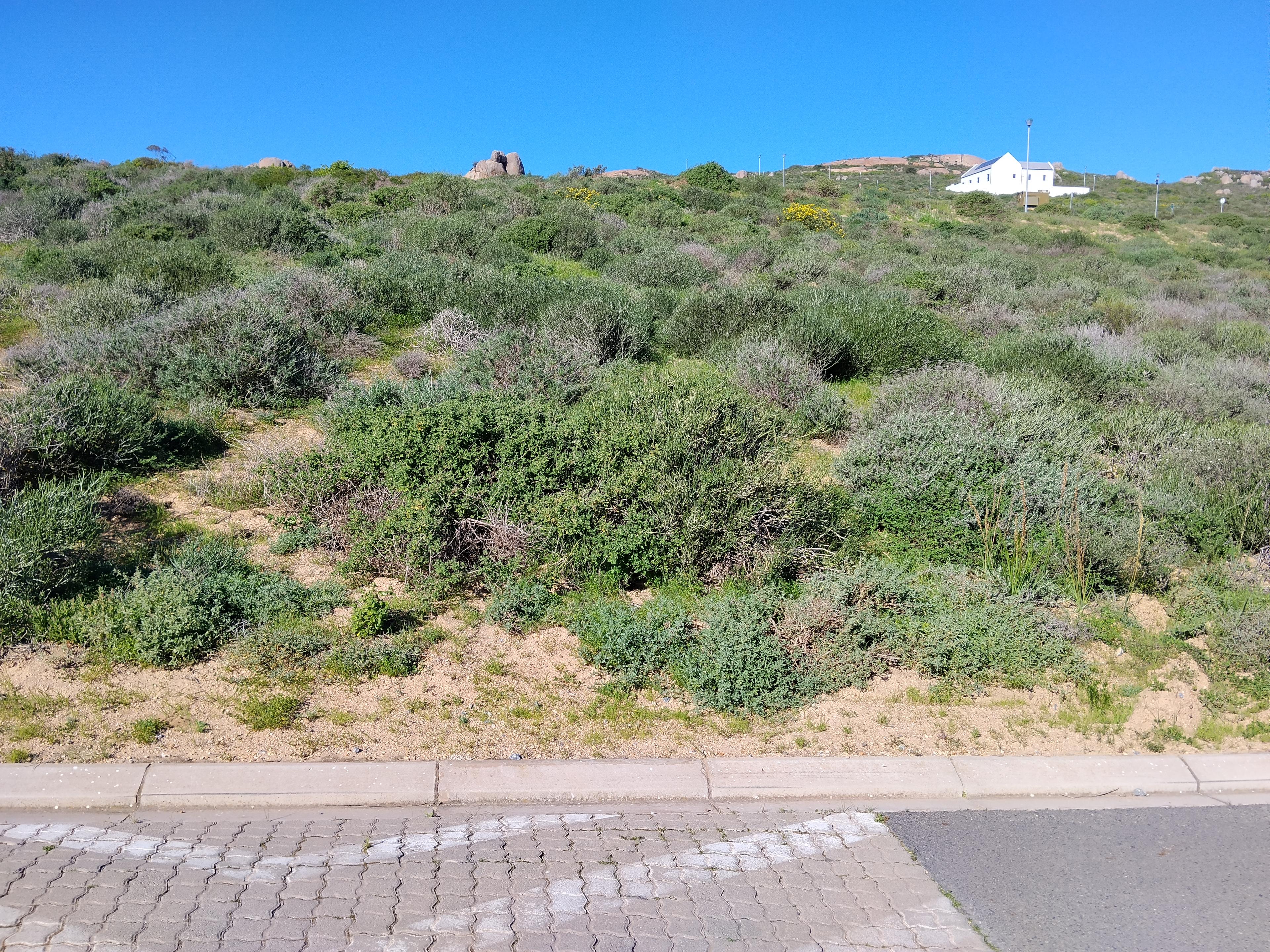 Image 3 of 6