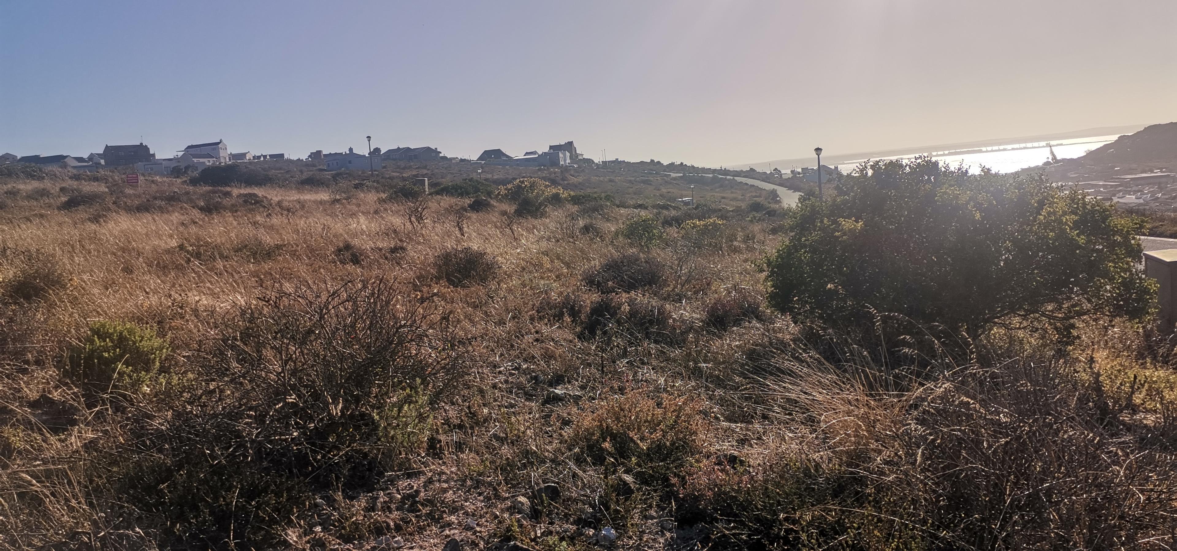 Image 4 of 6