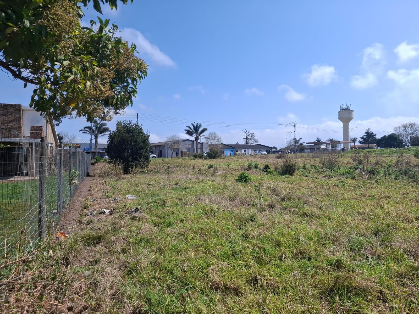 Image 4 of 6