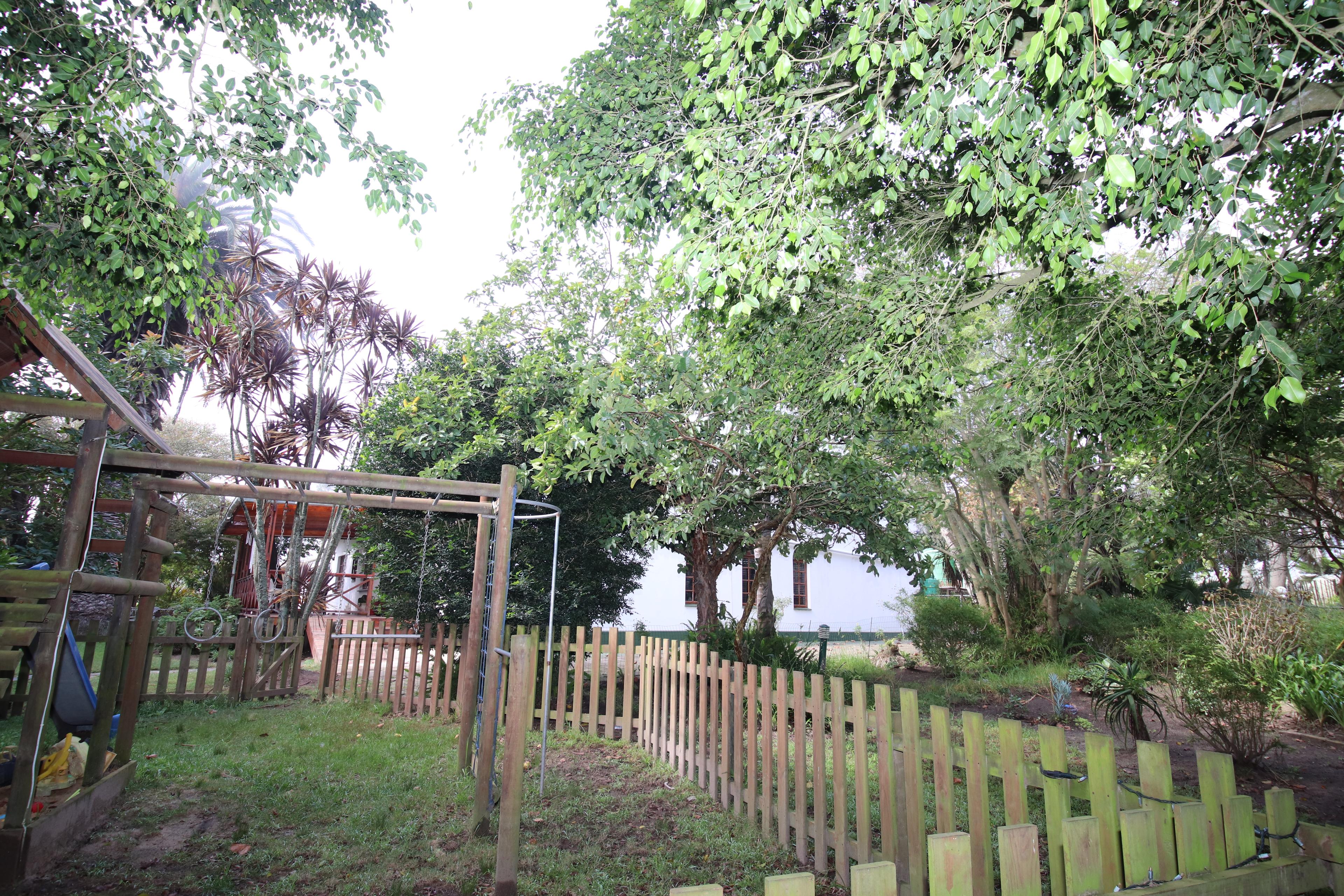 Image 39