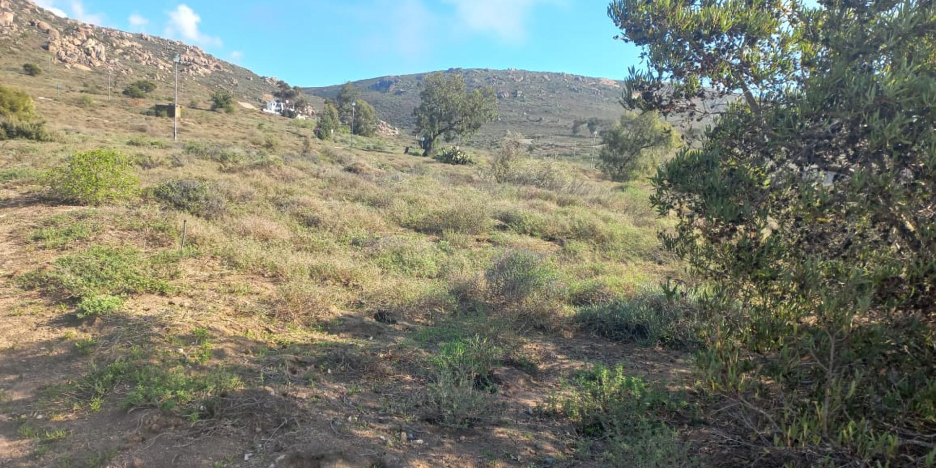 Image 4 of 6