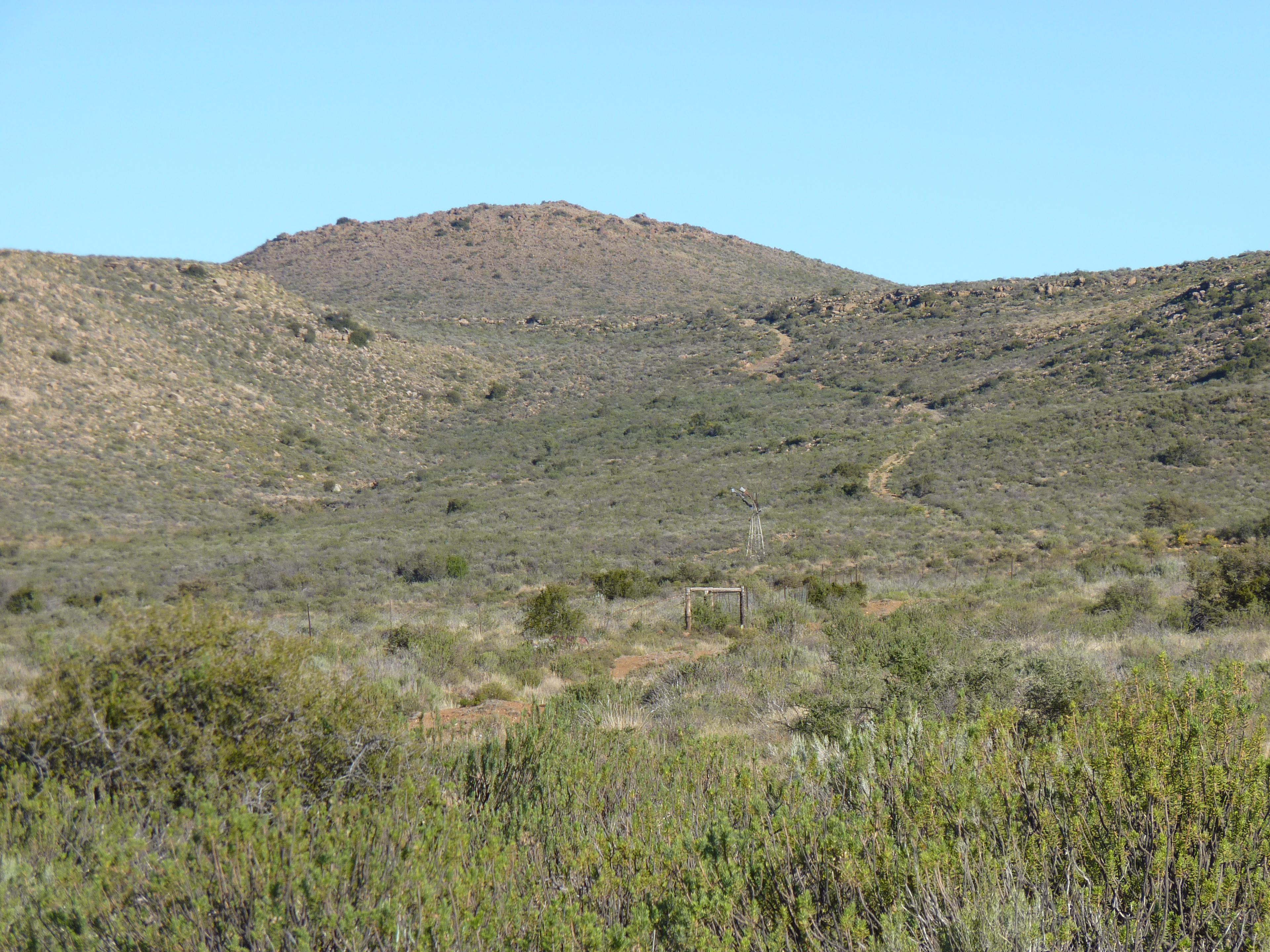 Image 54