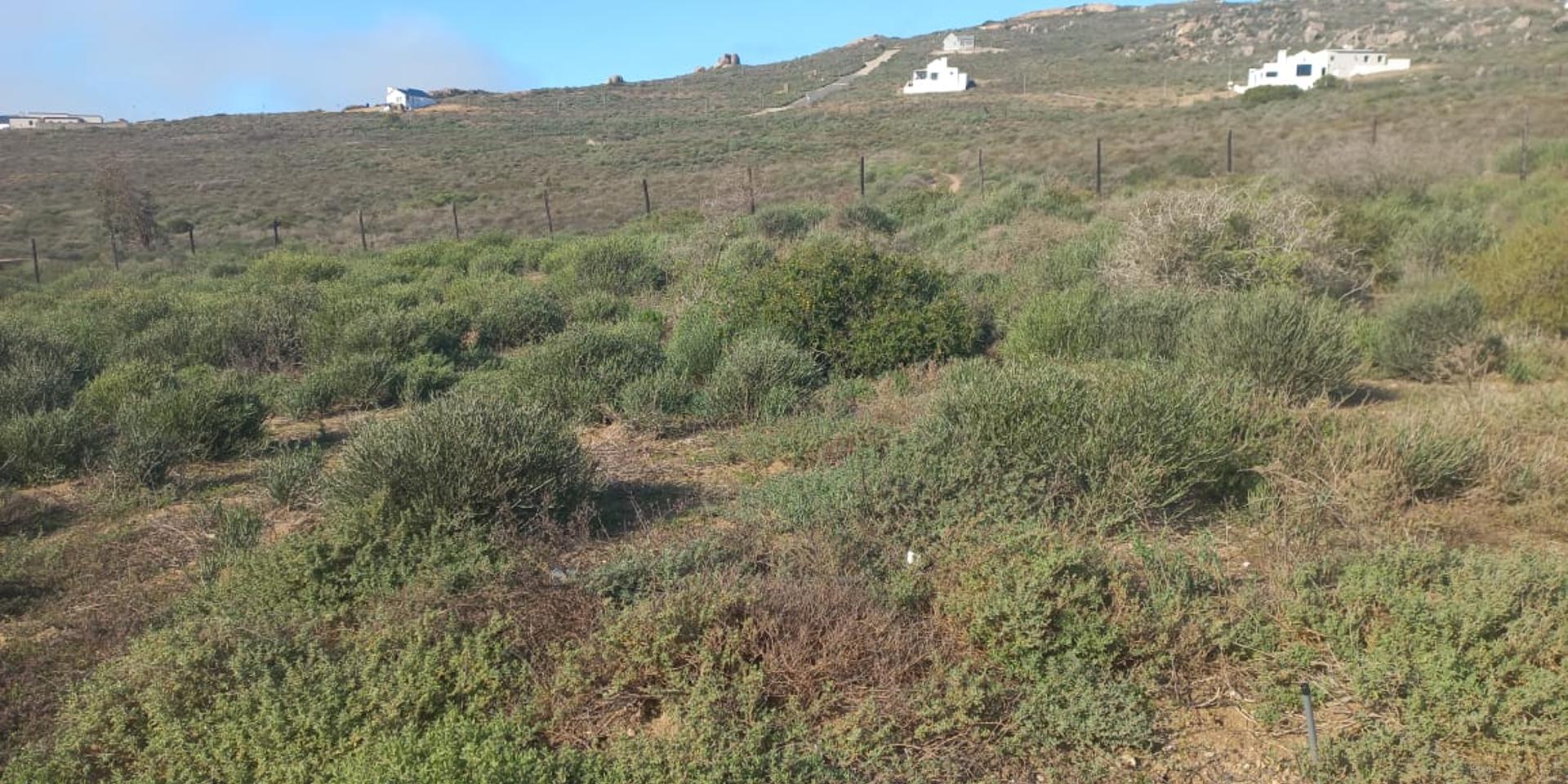 Image 2 of 6