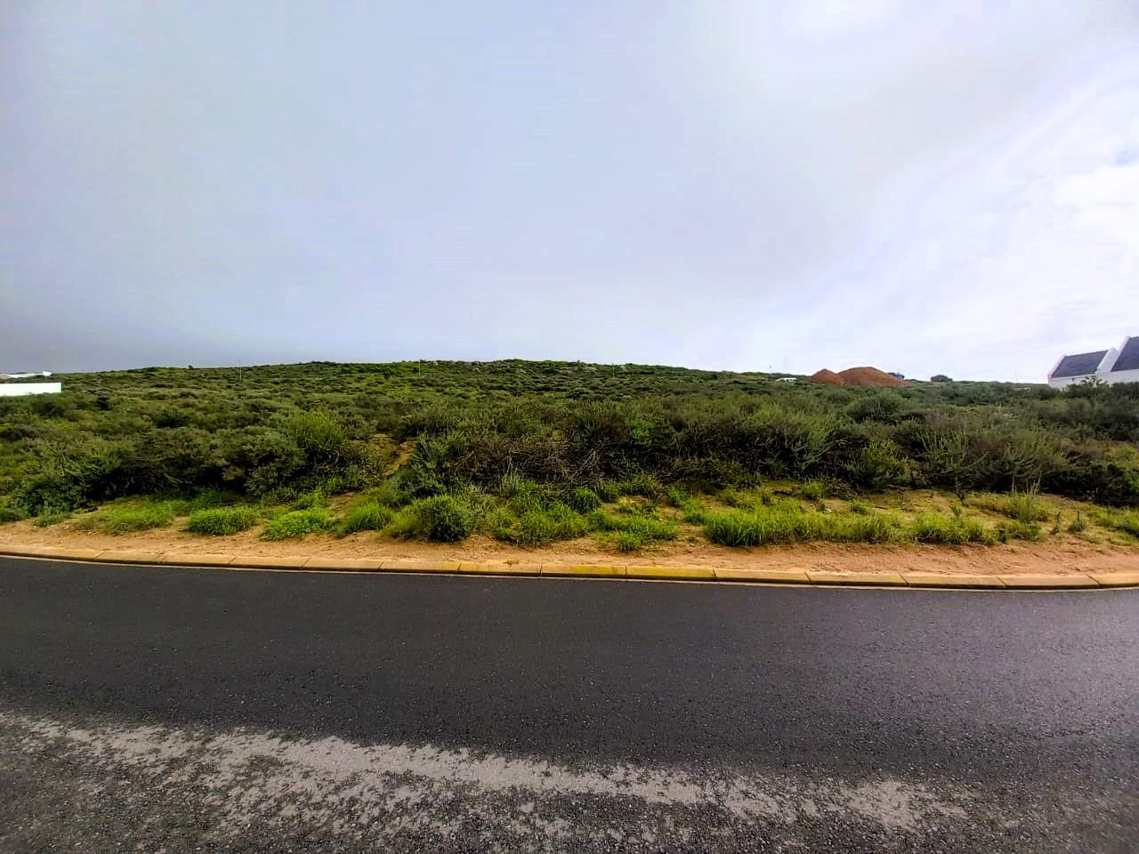 Image 4 of 6