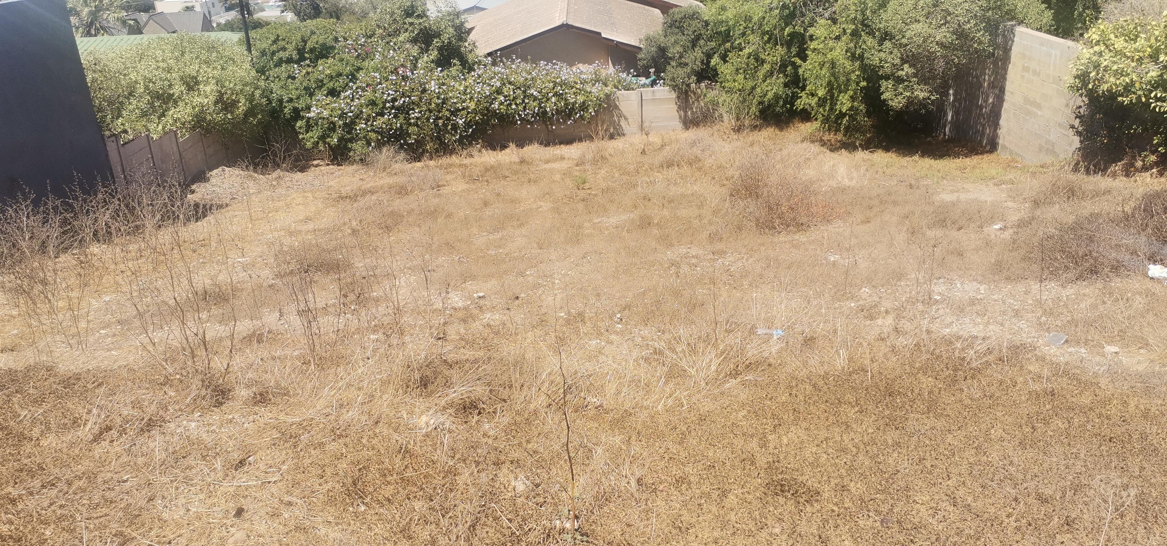 Image 6