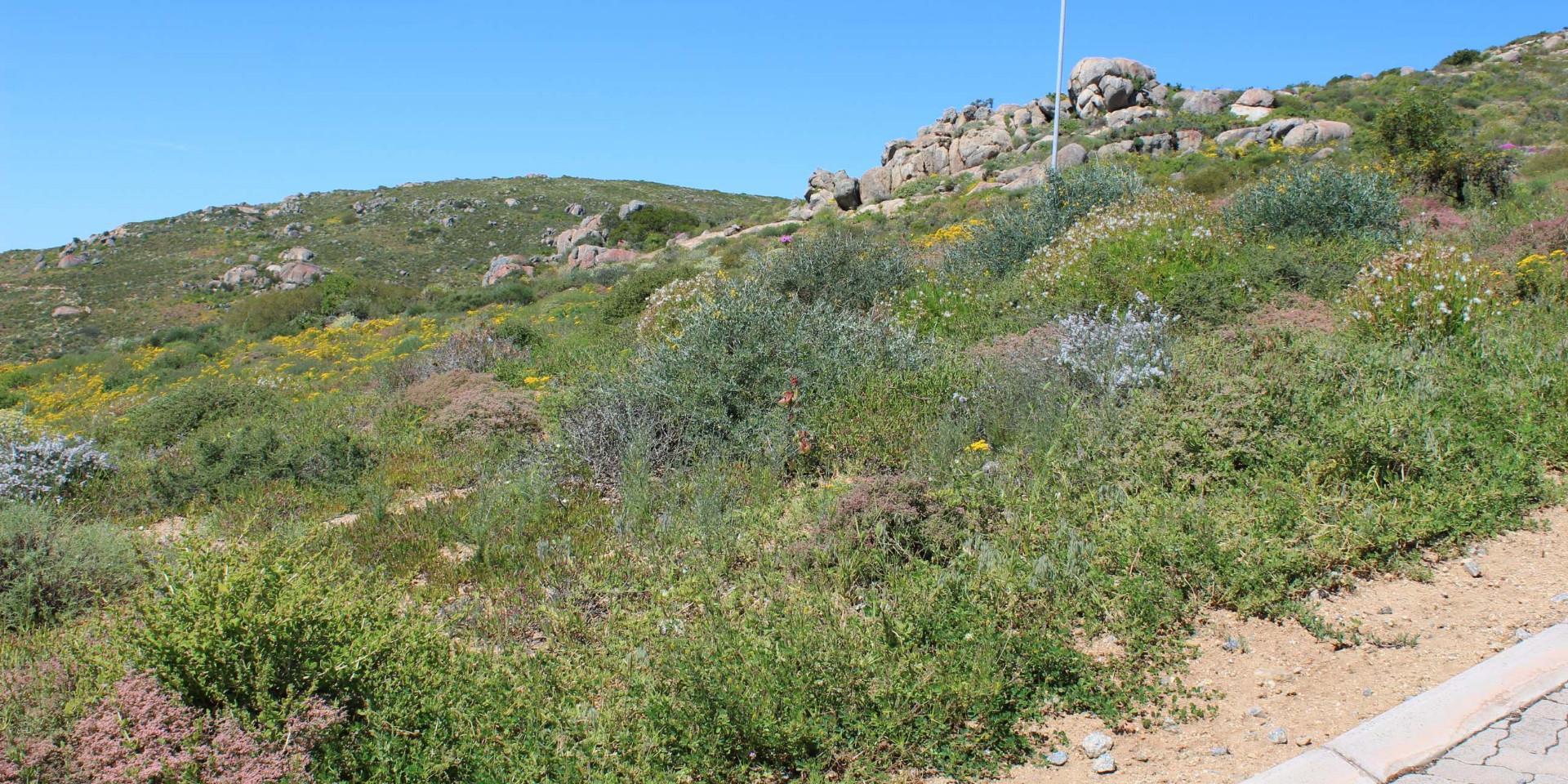 Image 4 of 6