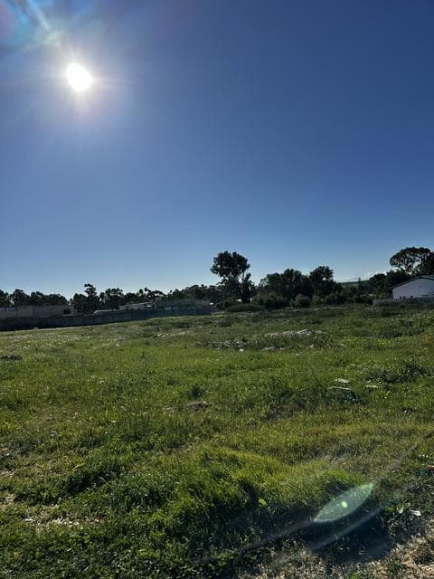 Image 4 of 6