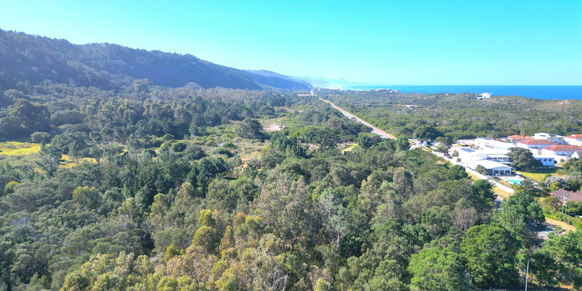 Image 5 of 6