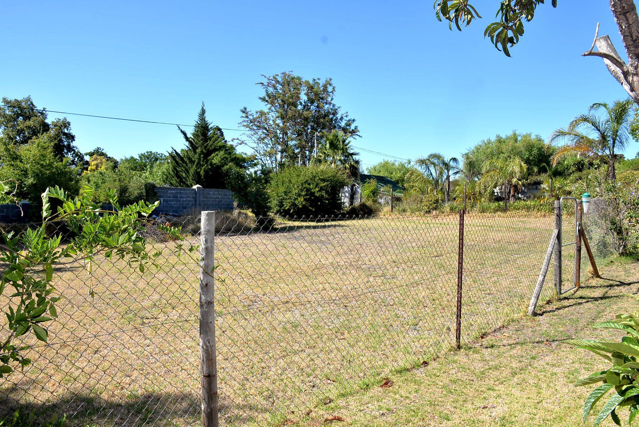 Image 25