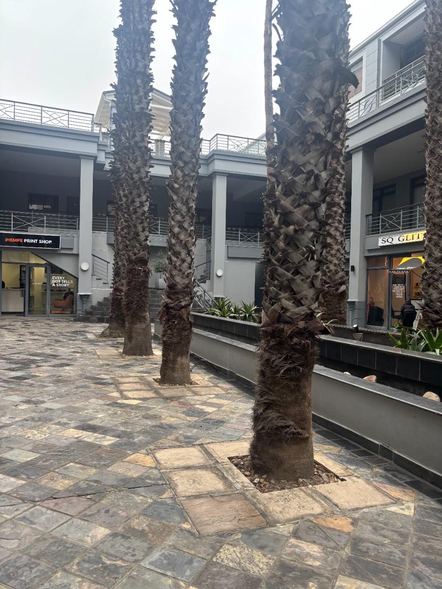 Image 2 of 6