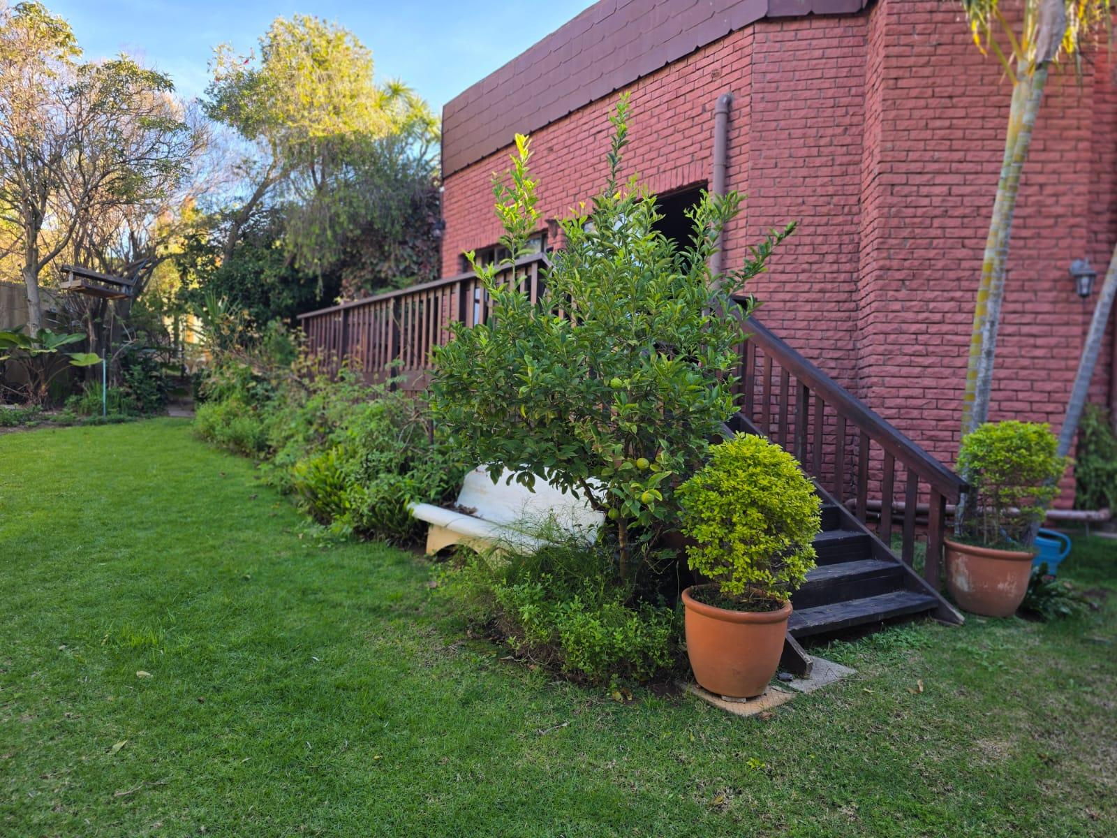 Image 29