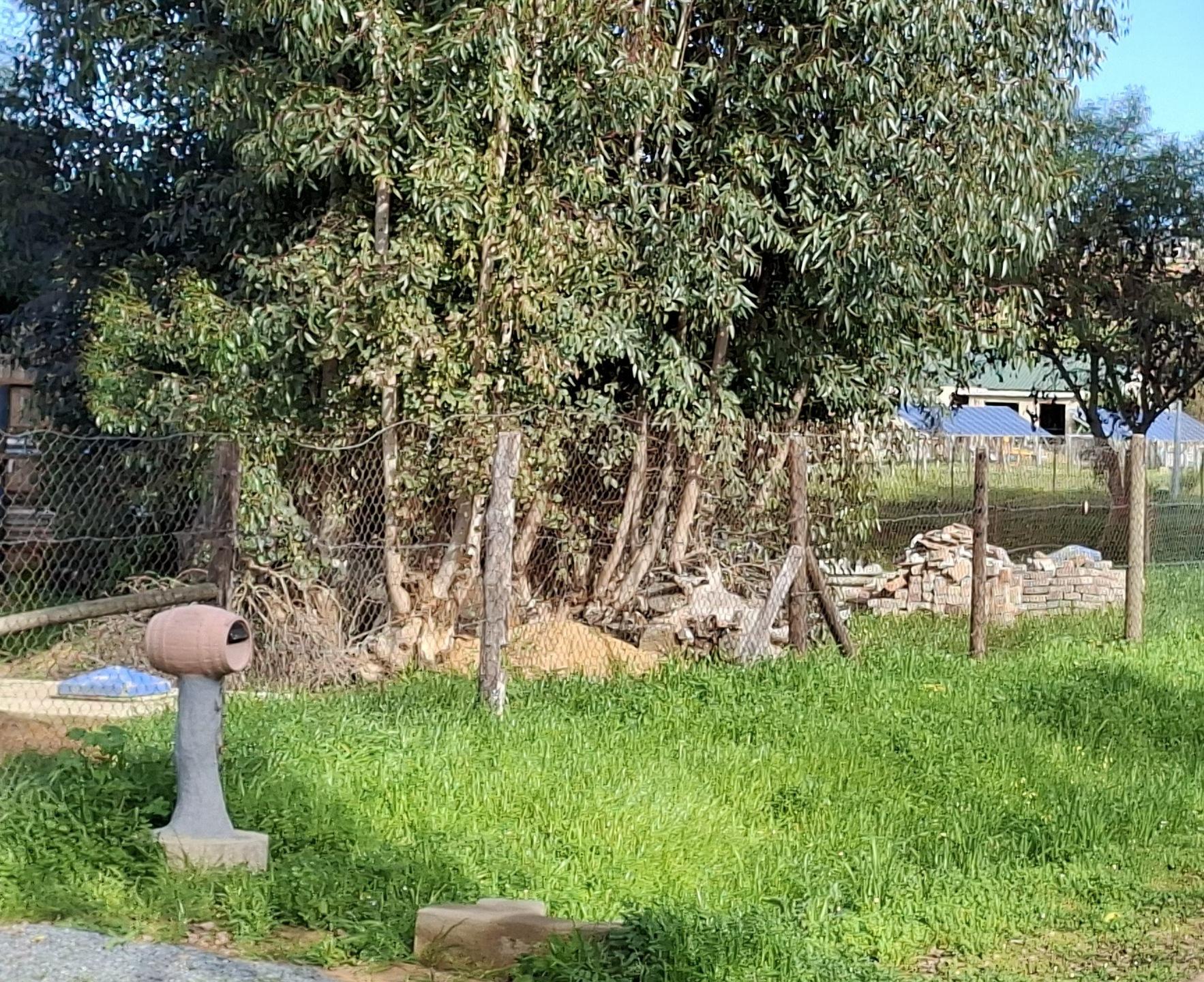 Image 5 of 6