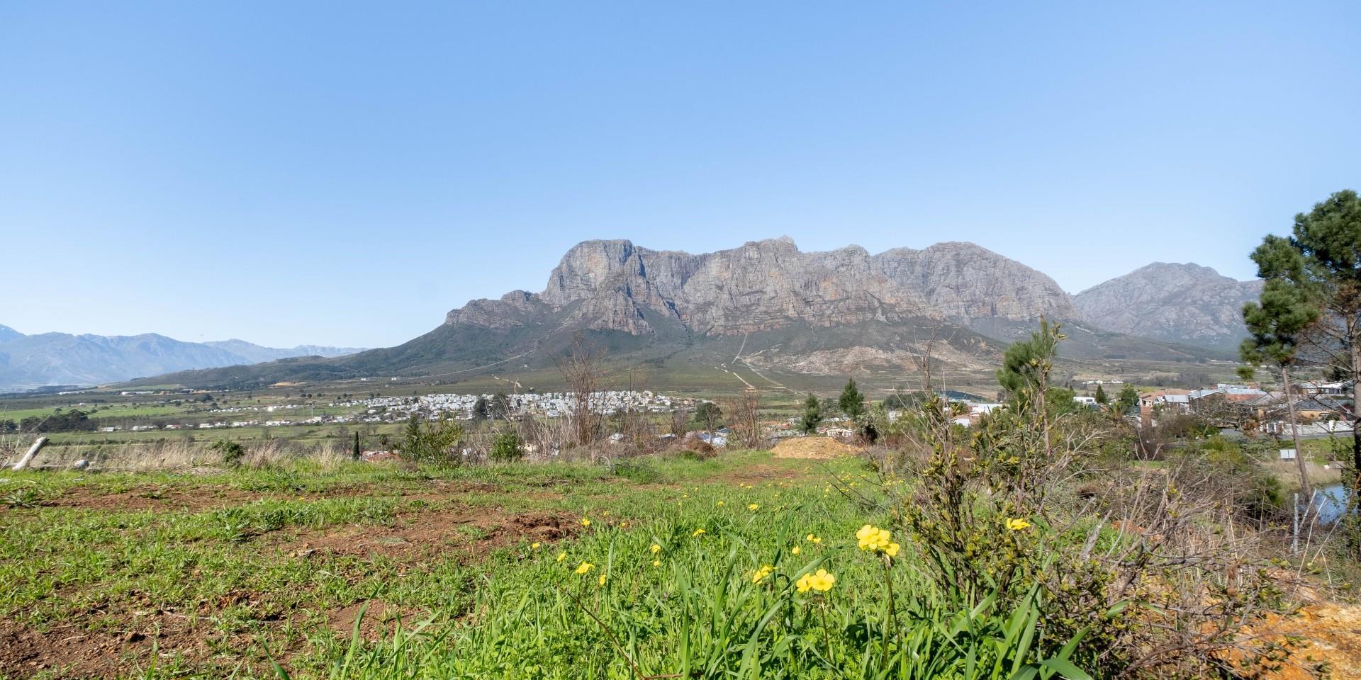 Image 4 of 6