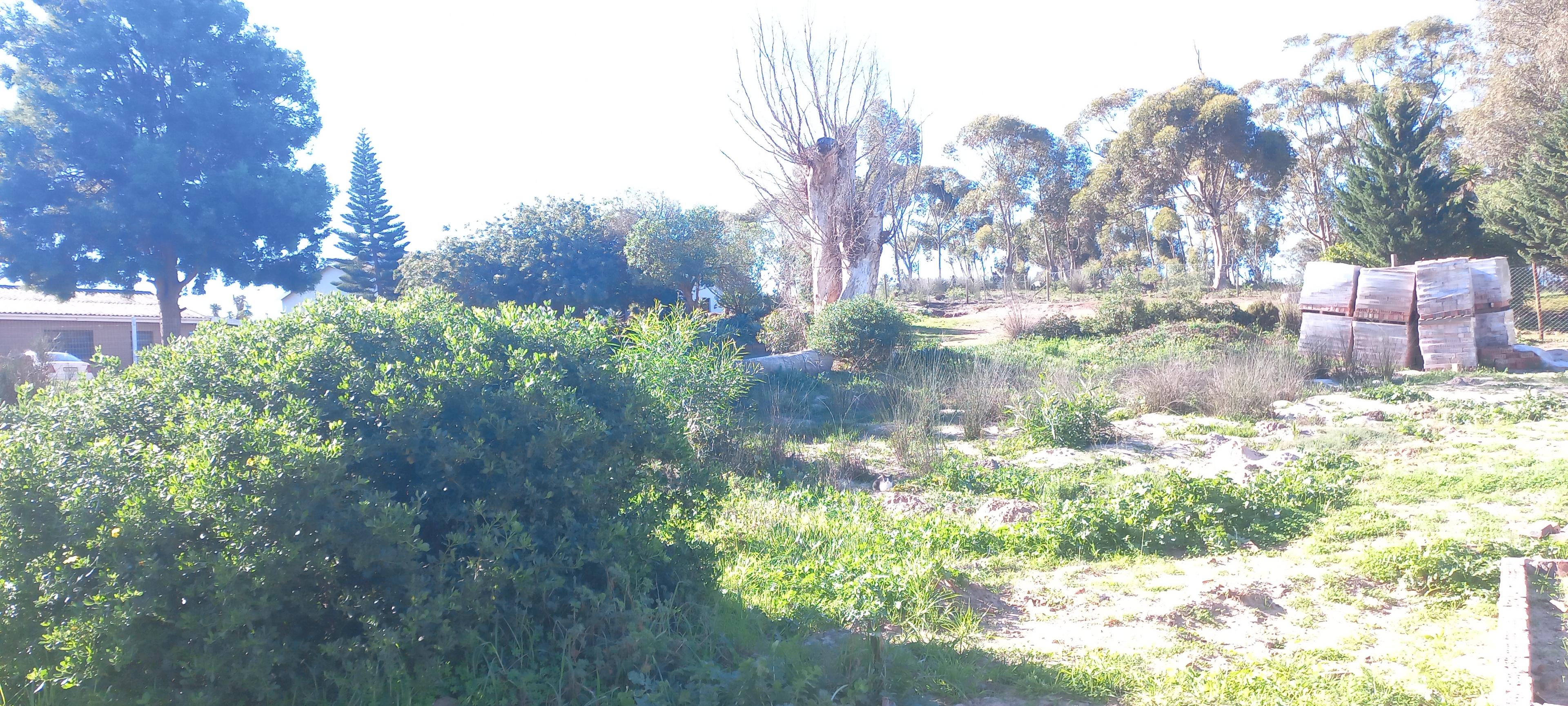 Image 8