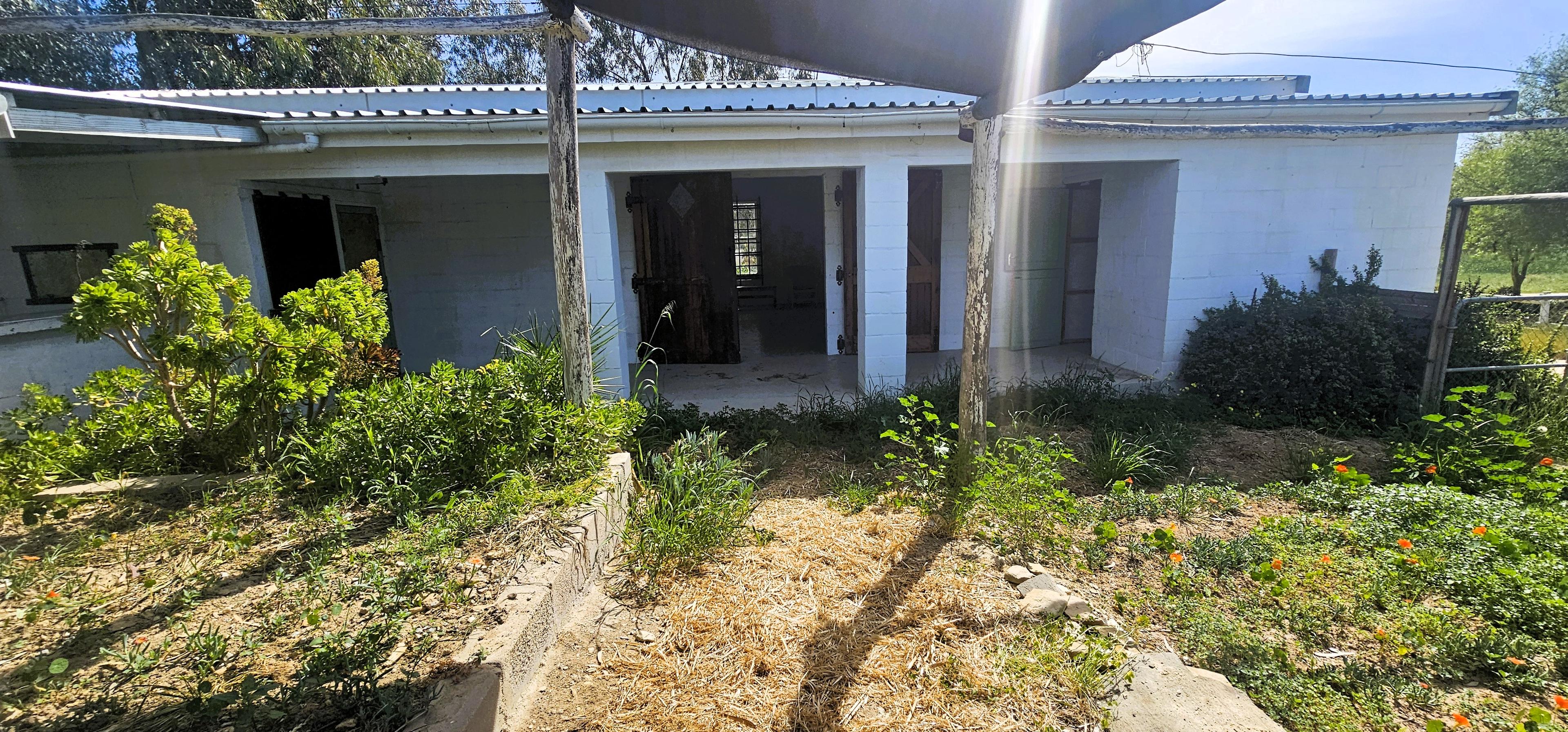 Image 36